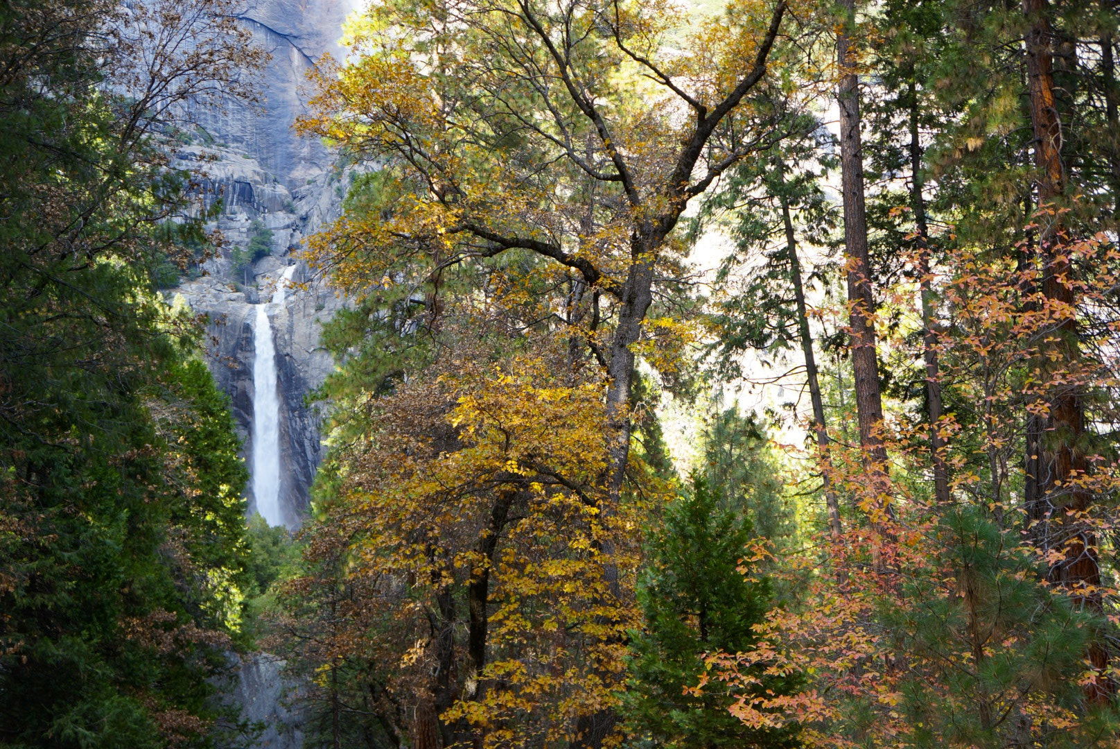 Sony Alpha NEX-6 + Sony E 18-55mm F3.5-5.6 OSS sample photo. Yosemite fall photography