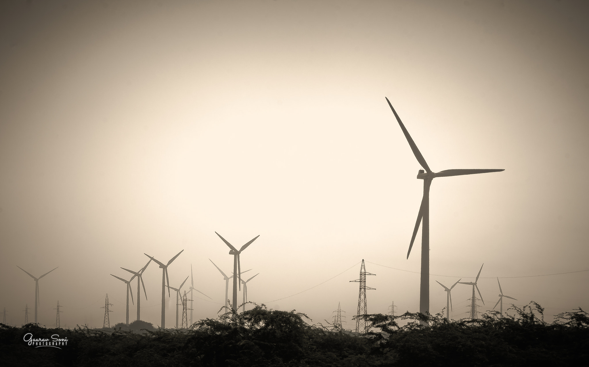 Sigma 18-200mm F3.5-6.3 DC OS HSM sample photo. Keep moving.. photography