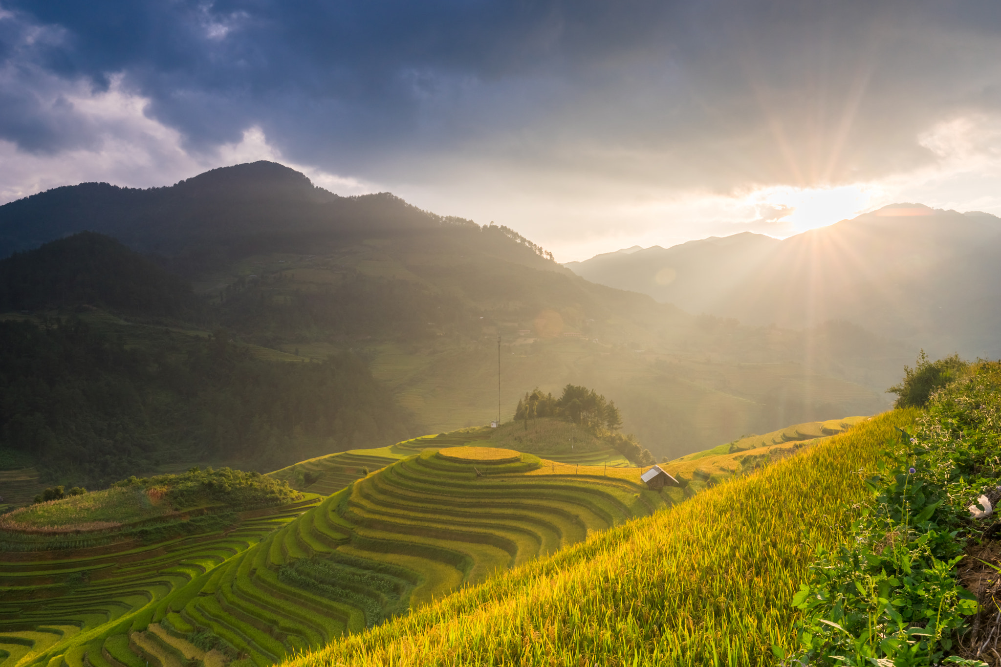 Sony a7 + Sony Vario-Sonnar T* 16-35mm F2.8 ZA SSM sample photo. Rice fields on terraced of mu cang chai, yenbai, vietnam. rice photography