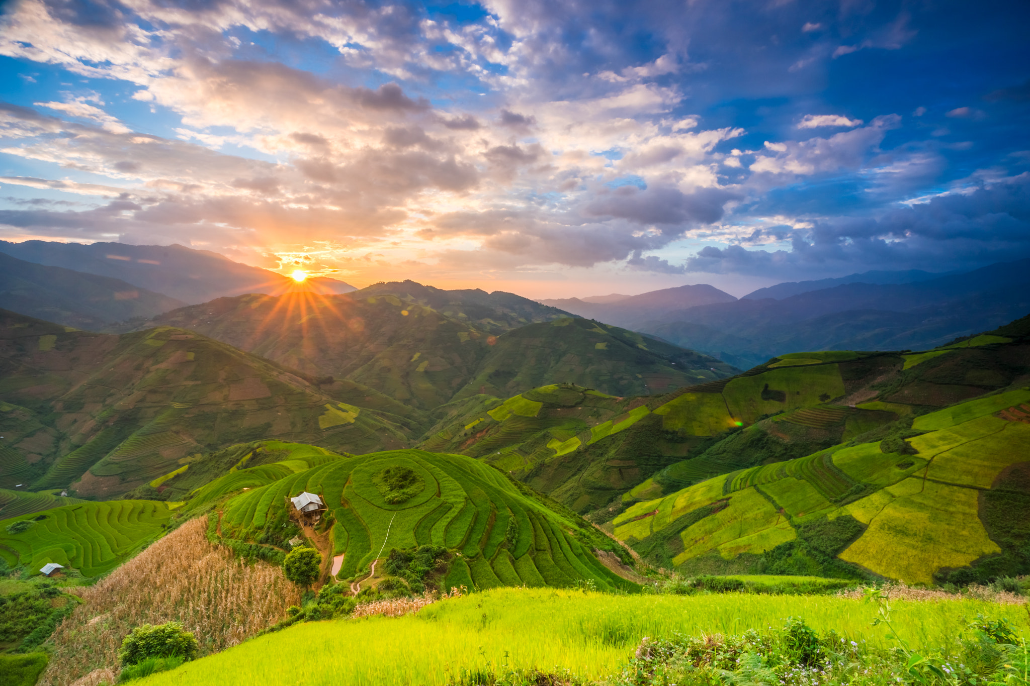 Sony a7 + Sony Vario-Sonnar T* 16-35mm F2.8 ZA SSM sample photo. Rice fields on terraced of mu cang chai, yenbai, vietnam. rice photography