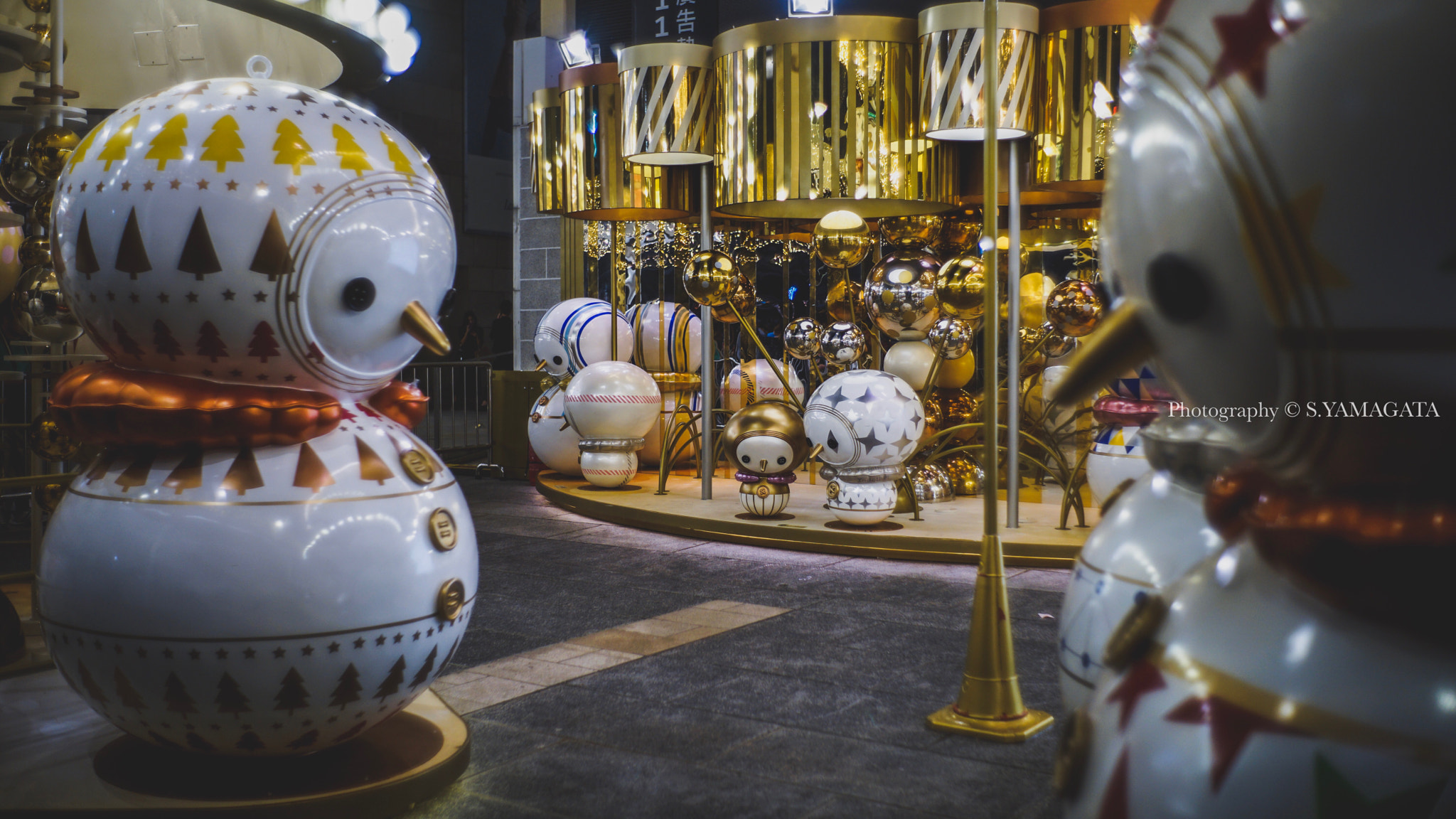 DT 40mm F2.8 SAM sample photo. Snowie photography