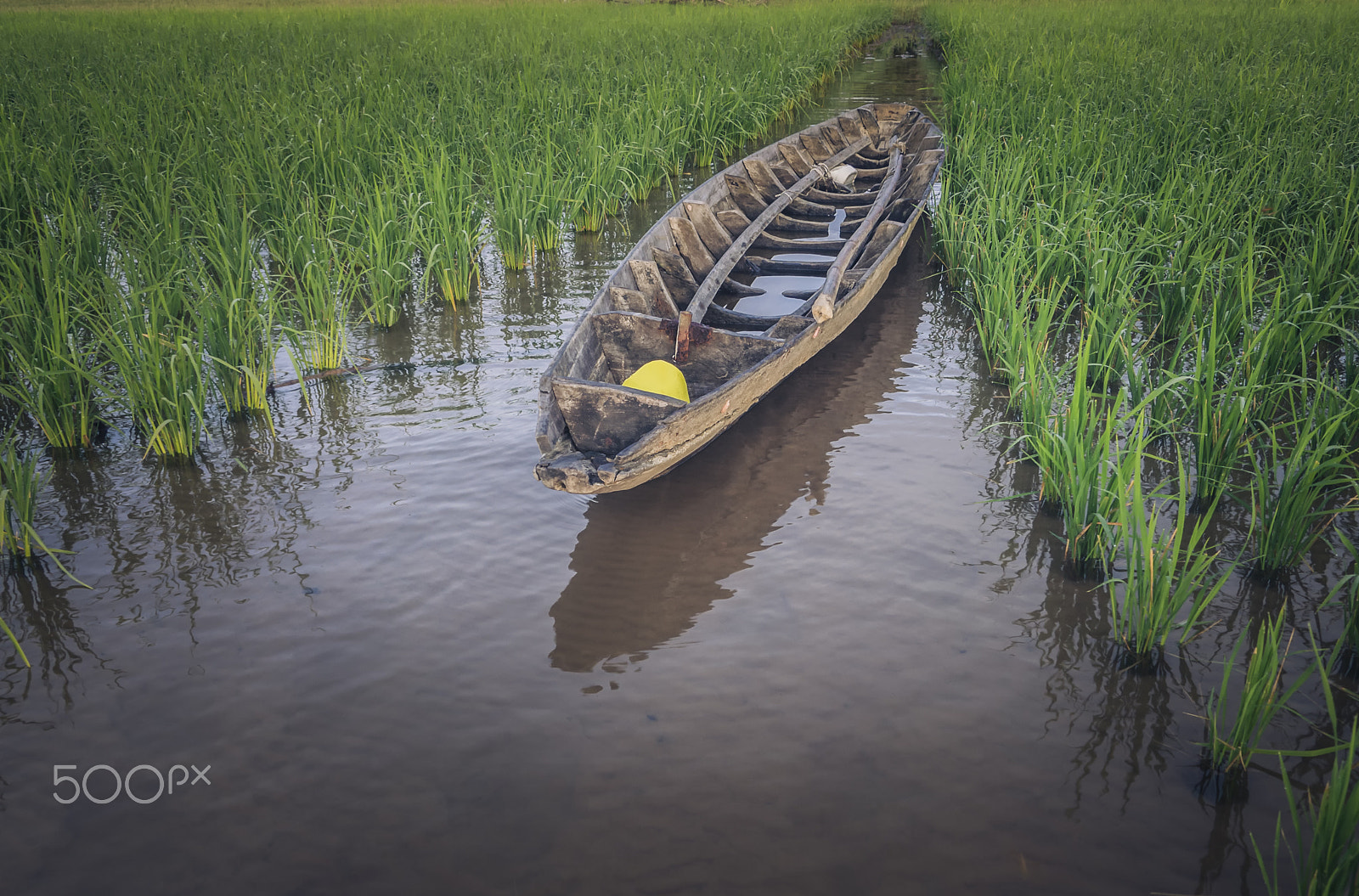 Olympus OM-D E-M10 sample photo. Small boat and big green photography