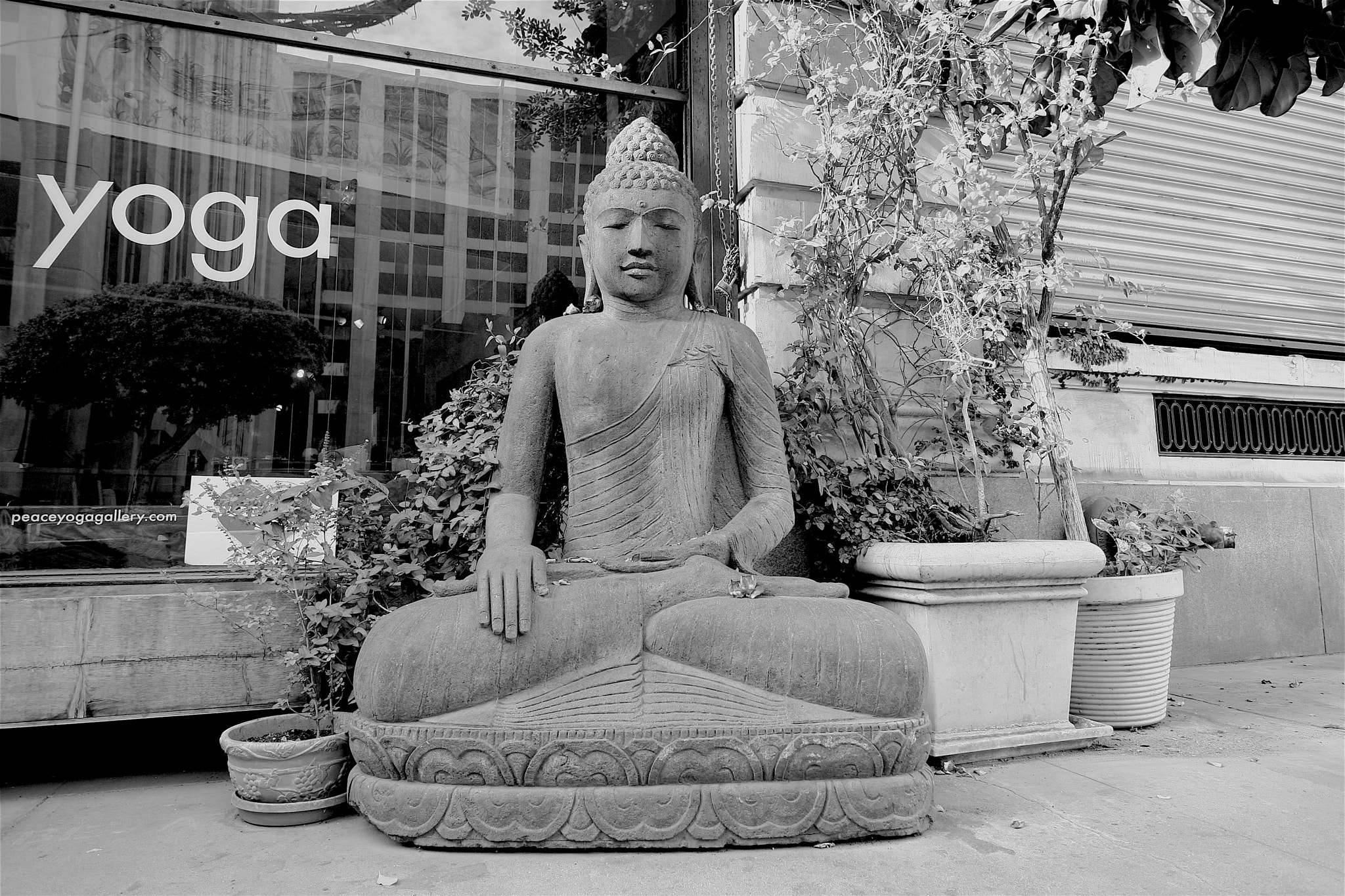 Canon EOS 40D sample photo. Meditate photography