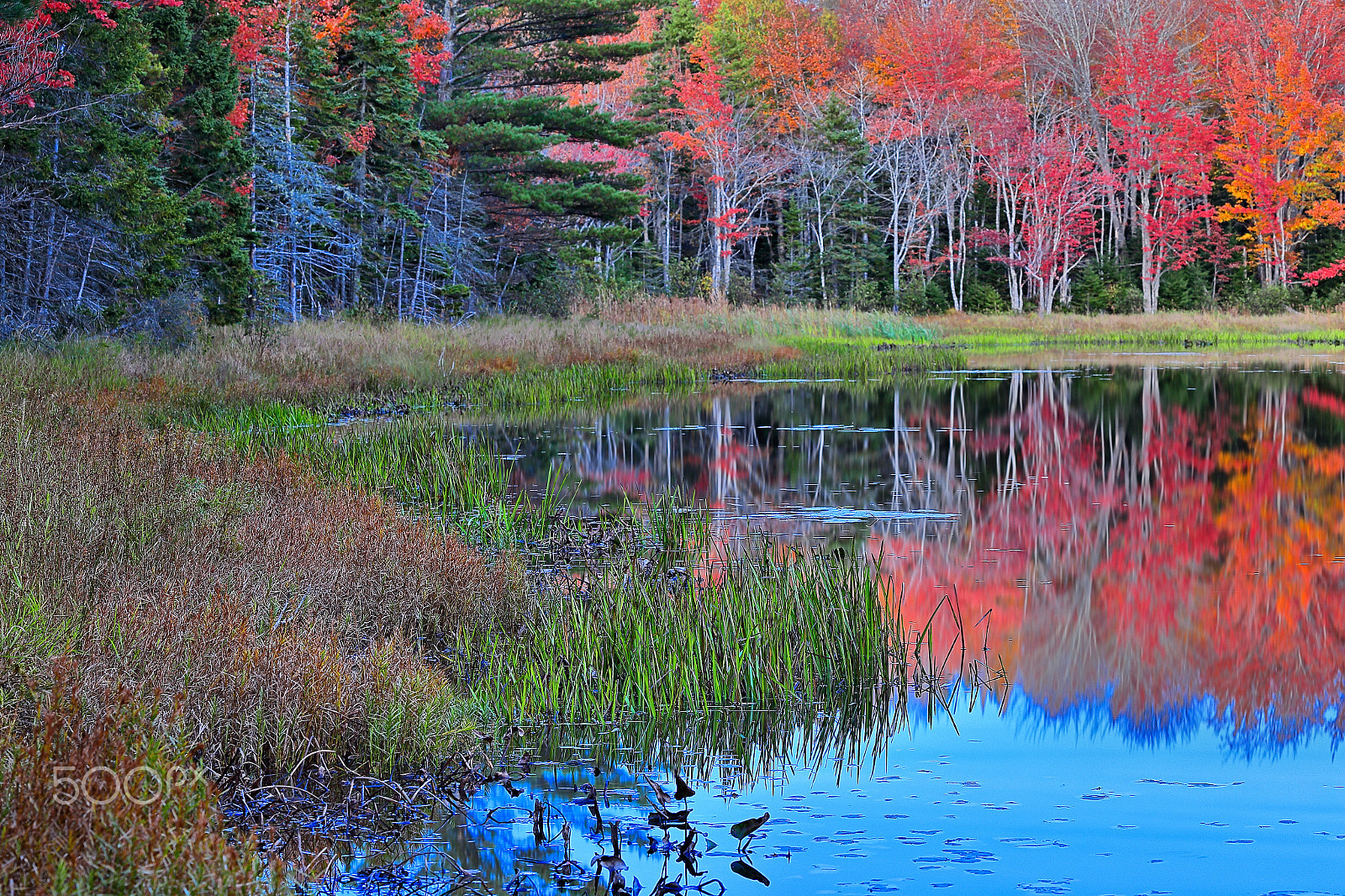 Canon EOS 6D sample photo. Autumn reflections on hidden lake iii photography