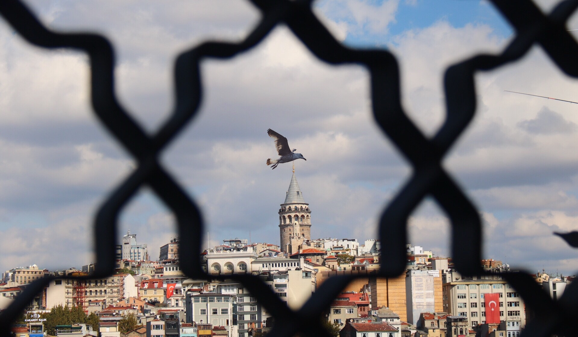 Canon EOS 750D (EOS Rebel T6i / EOS Kiss X8i) sample photo. Istanbul-turkey photography
