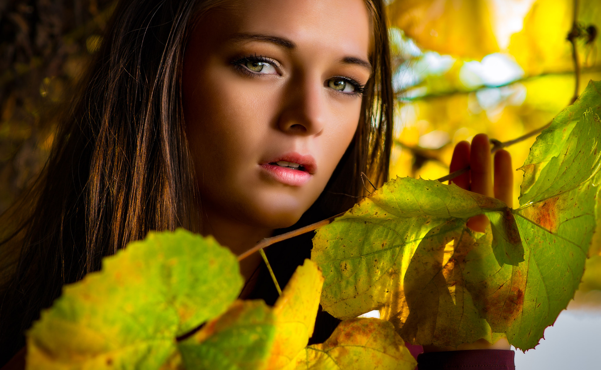 Nikon D3S + Nikon AF-S Nikkor 85mm F1.8G sample photo. The leaves are turning photography