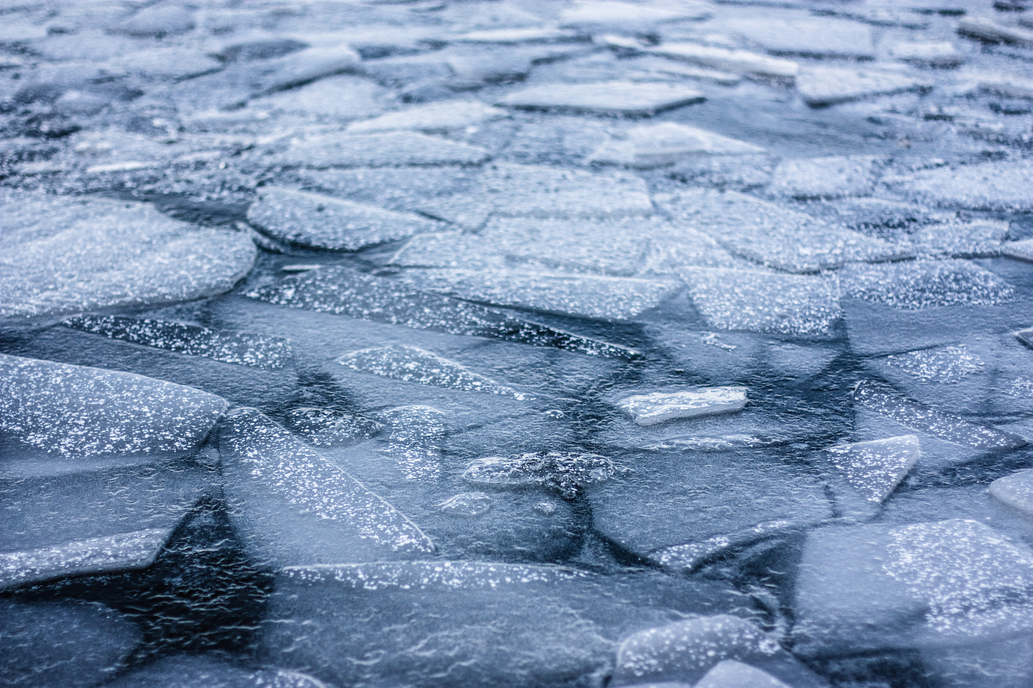 Canon EF 50mm F1.4 USM sample photo. Ice puzzle photography