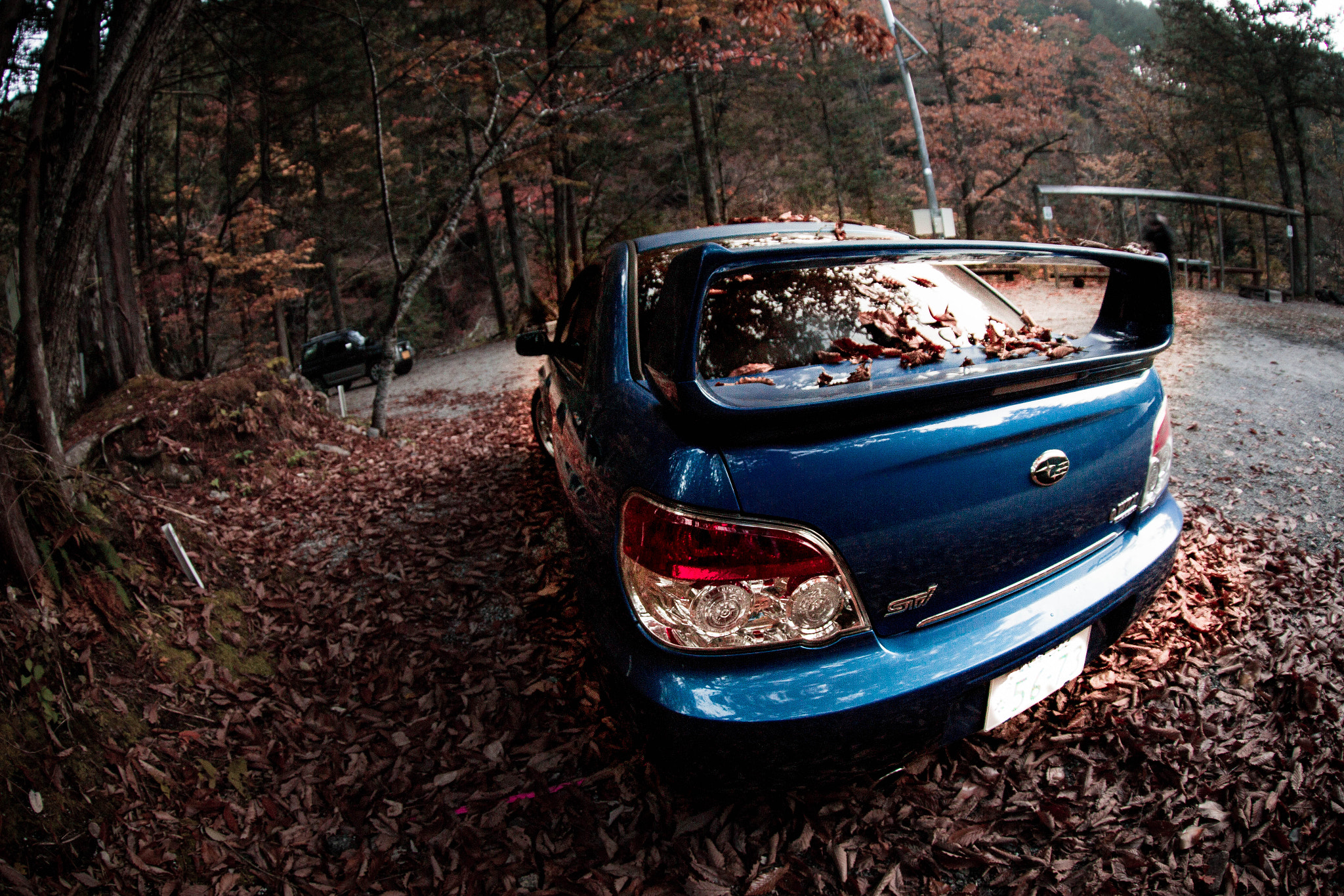 Canon EF 8-15mm F4L Fisheye USM sample photo. My car photography
