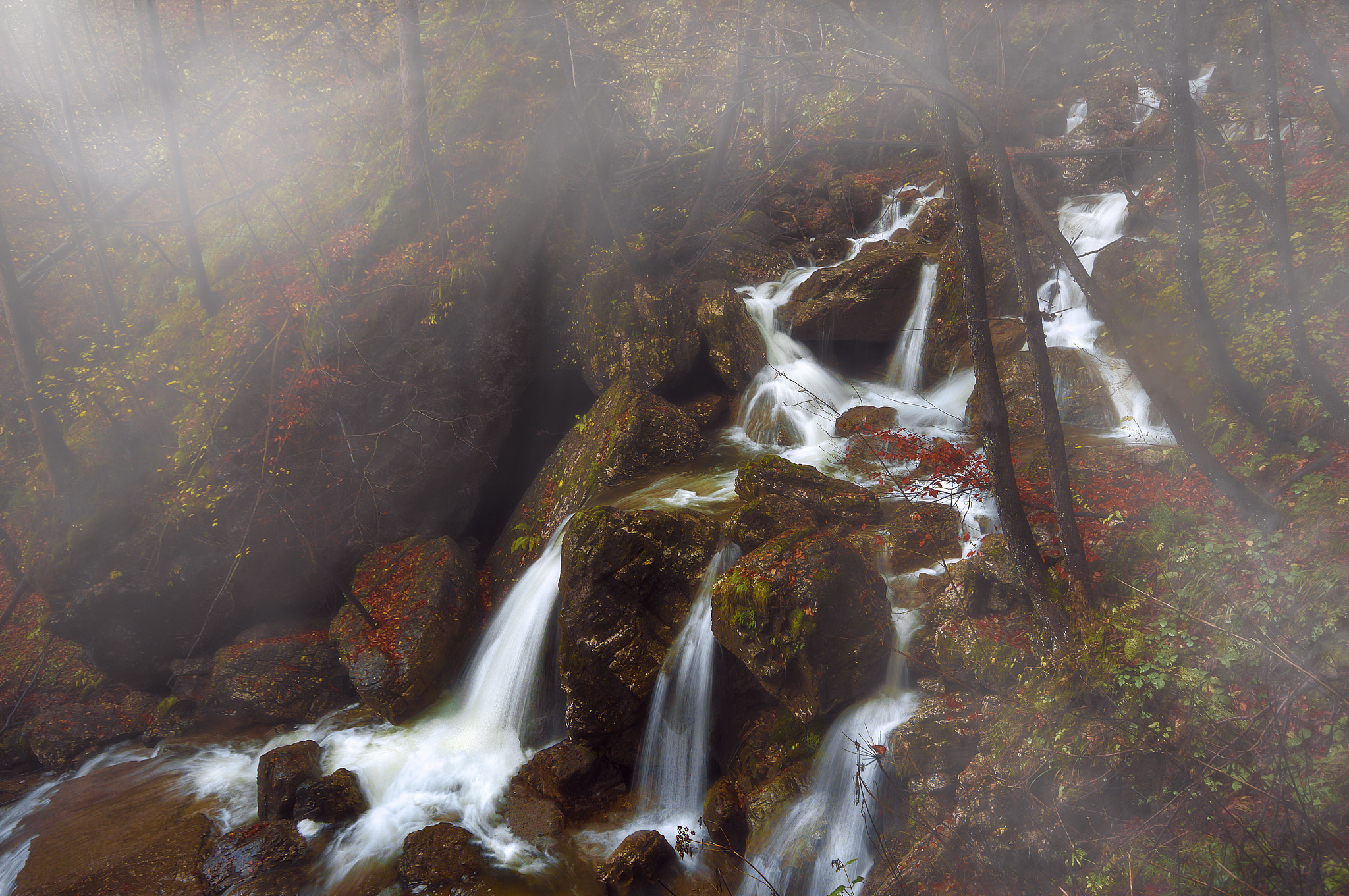 Sony SLT-A55 (SLT-A55V) + Sigma AF 10-20mm F4-5.6 EX DC sample photo. Waterfalls in pekel gorge photography