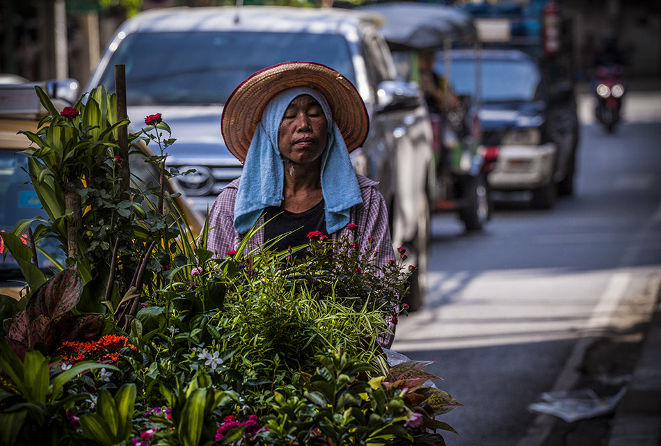 Canon EOS 50D + Canon EF 70-200mm F4L USM sample photo. .......... photography