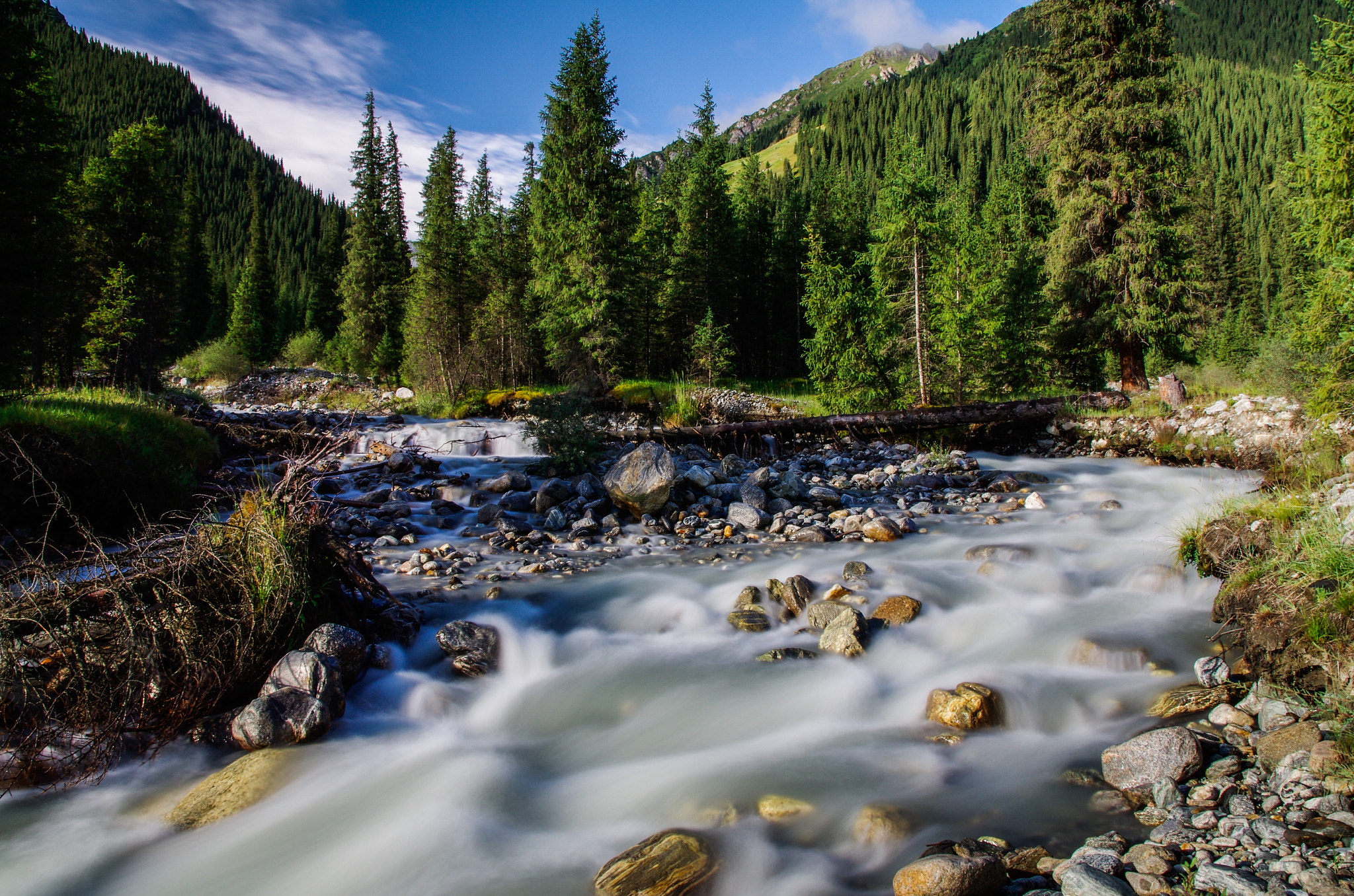 Sigma 17-70mm F2.8-4 DC Macro HSM | C sample photo. Xin jiang   photography