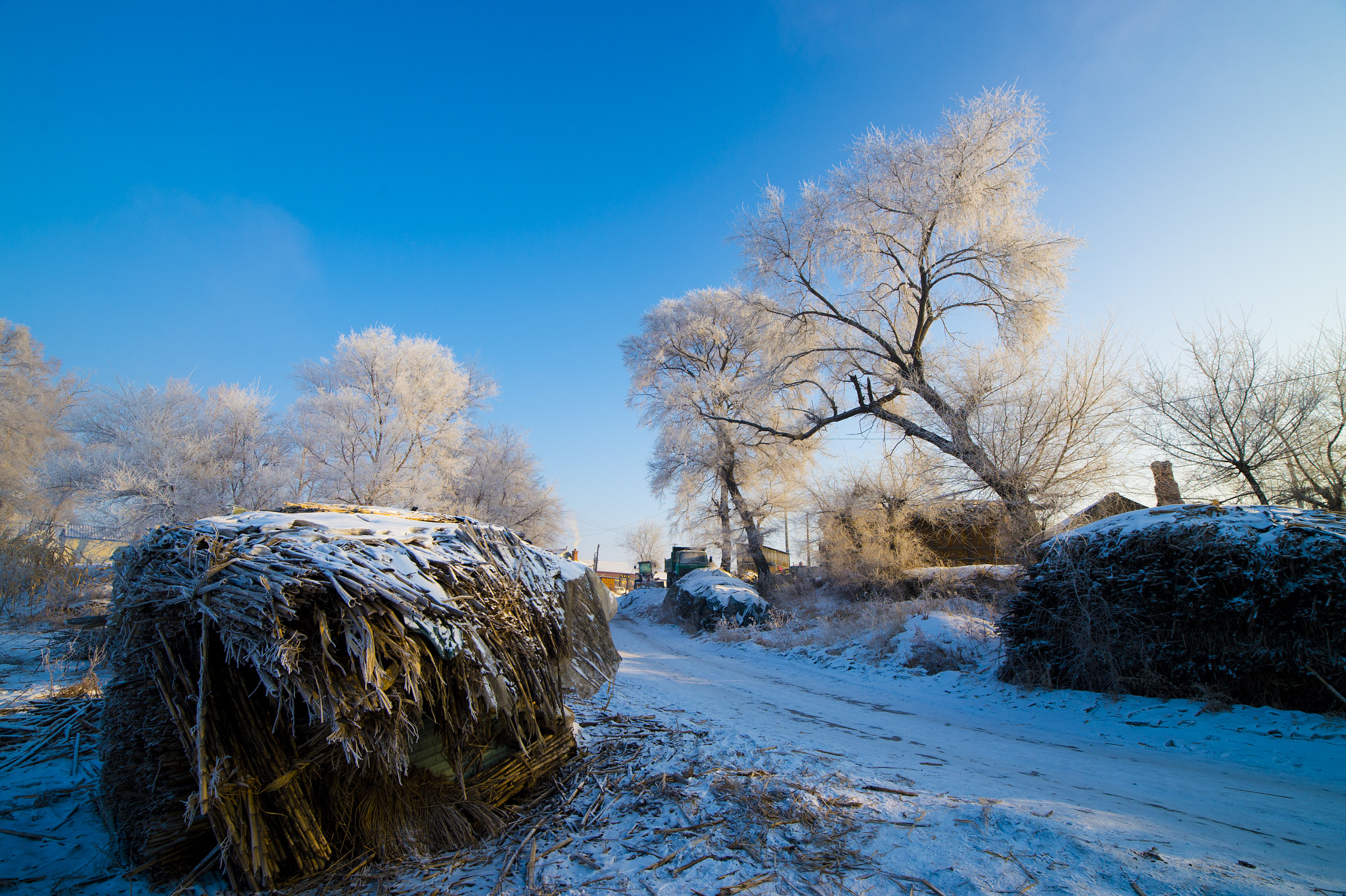 Nikon D4S sample photo. Rime island photography