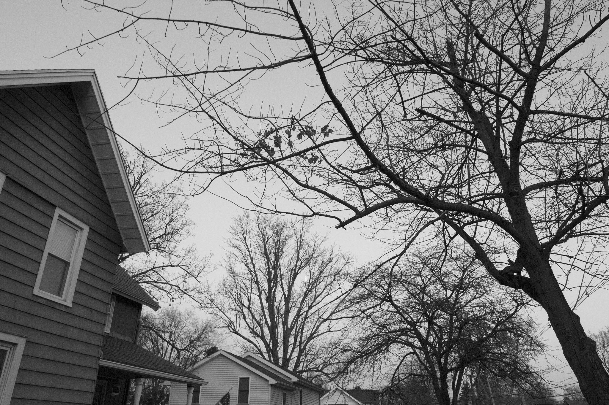 Canon EOS 700D (EOS Rebel T5i / EOS Kiss X7i) sample photo. Stranger brockport photography