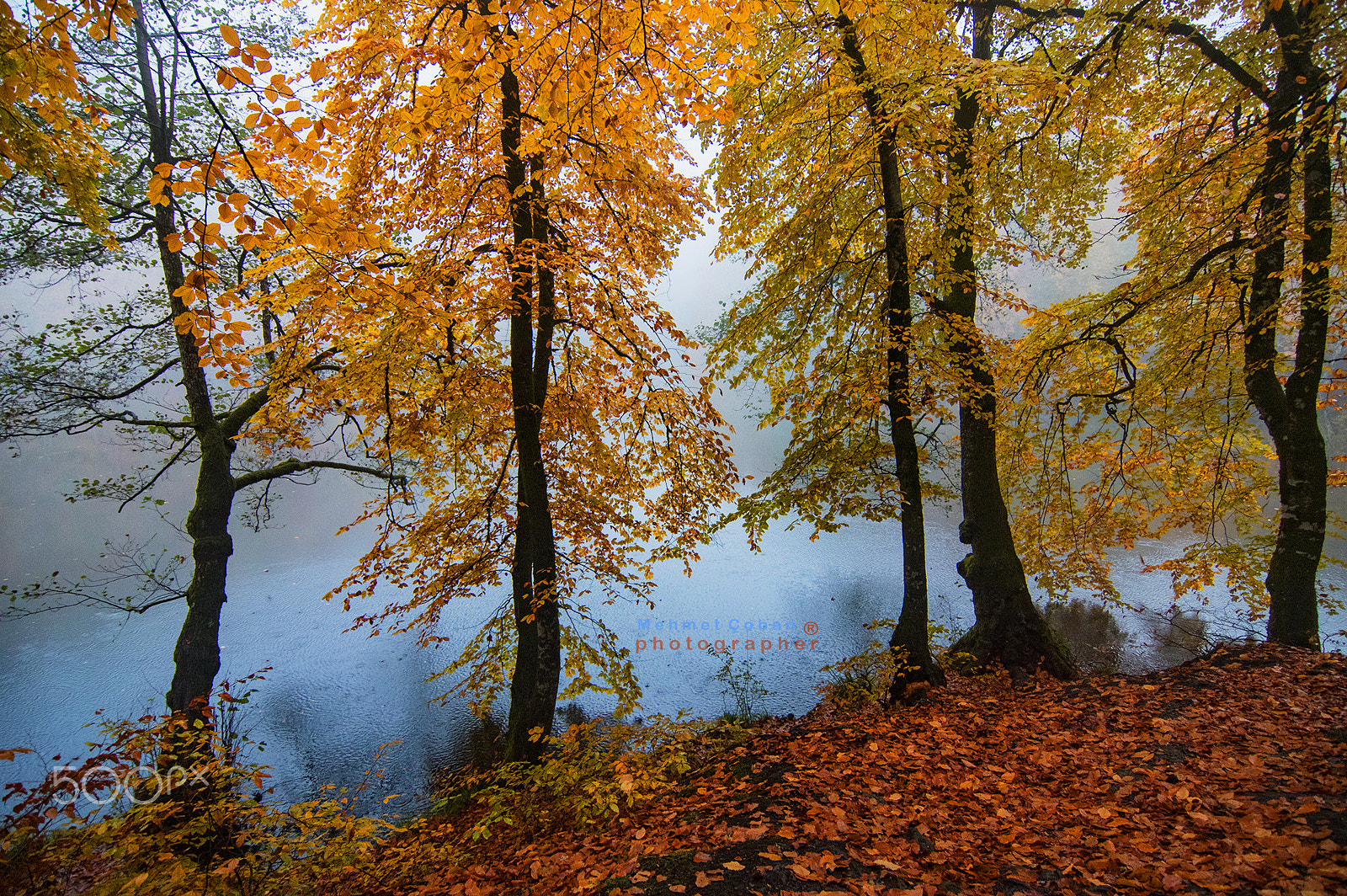 Pentax K-3 II sample photo. Seasonal visual - autumunn photography