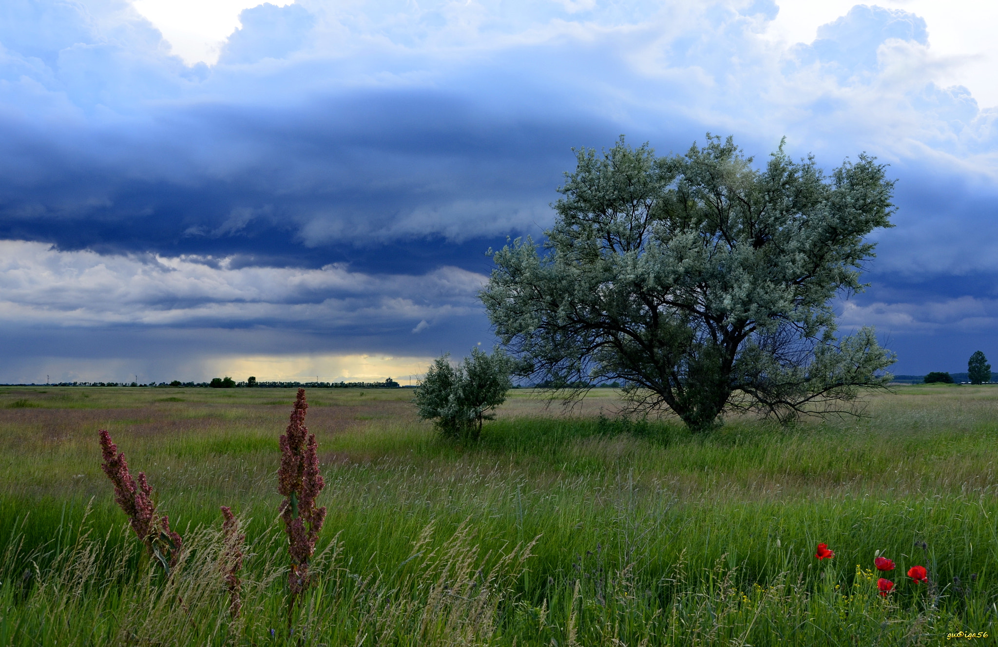 Nikon D5100 sample photo. Sötét felleg / dark clouds photography