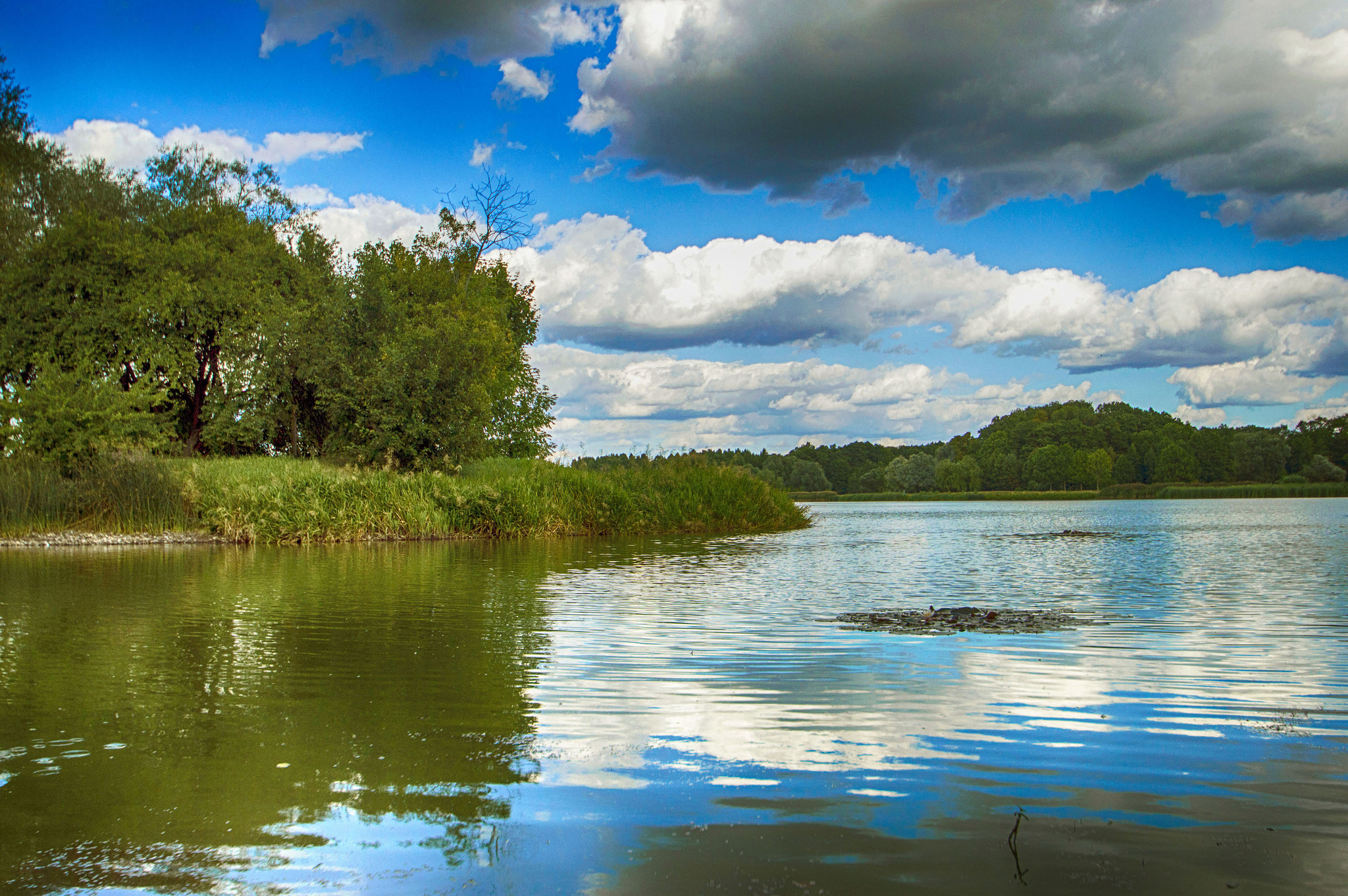 Nikon D3200 sample photo. Clouds in water photography