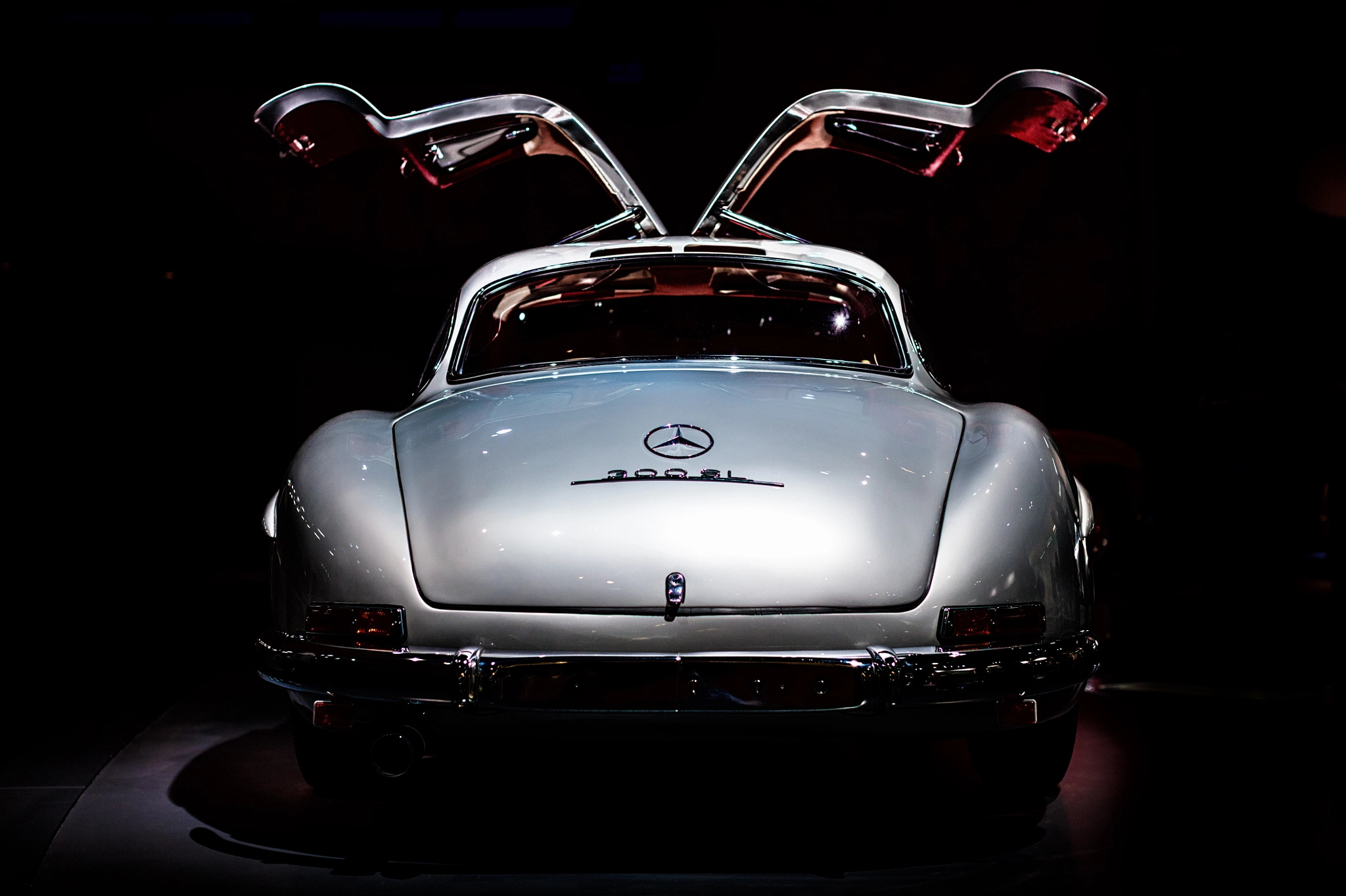Canon EOS 5DS R + Canon EF 50mm F1.2L USM sample photo. Gullwings photography