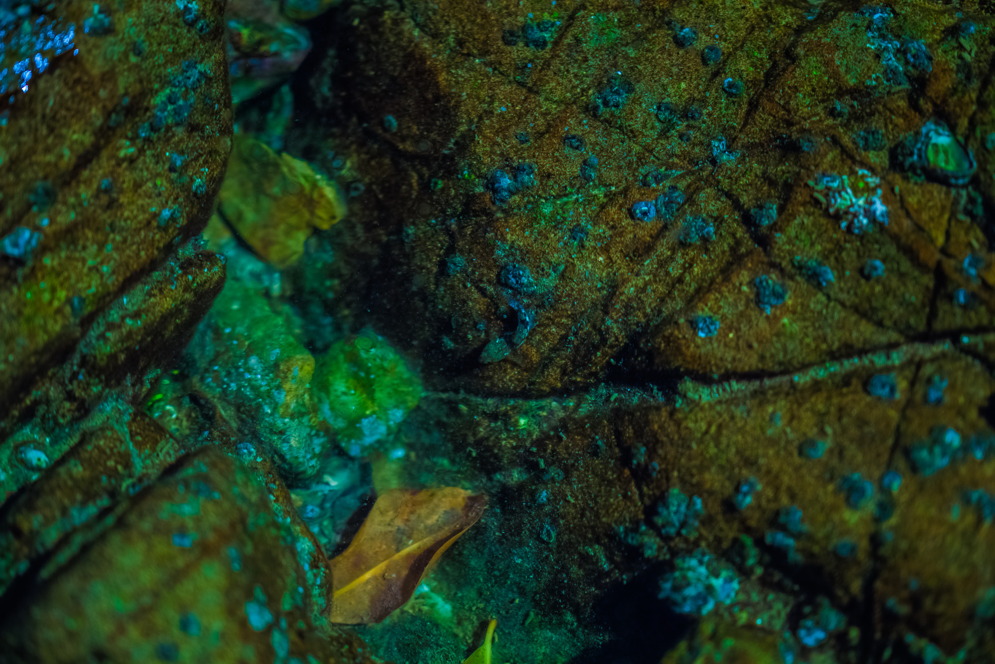 Sony FE 85mm F1.4 GM sample photo. Abstract water sea on rock photography