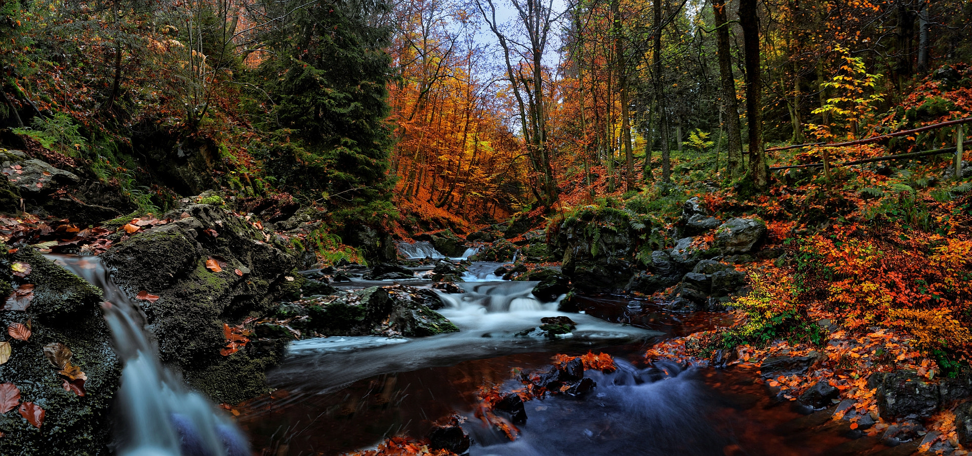 Olympus PEN-F sample photo. Fairytale forest . photography