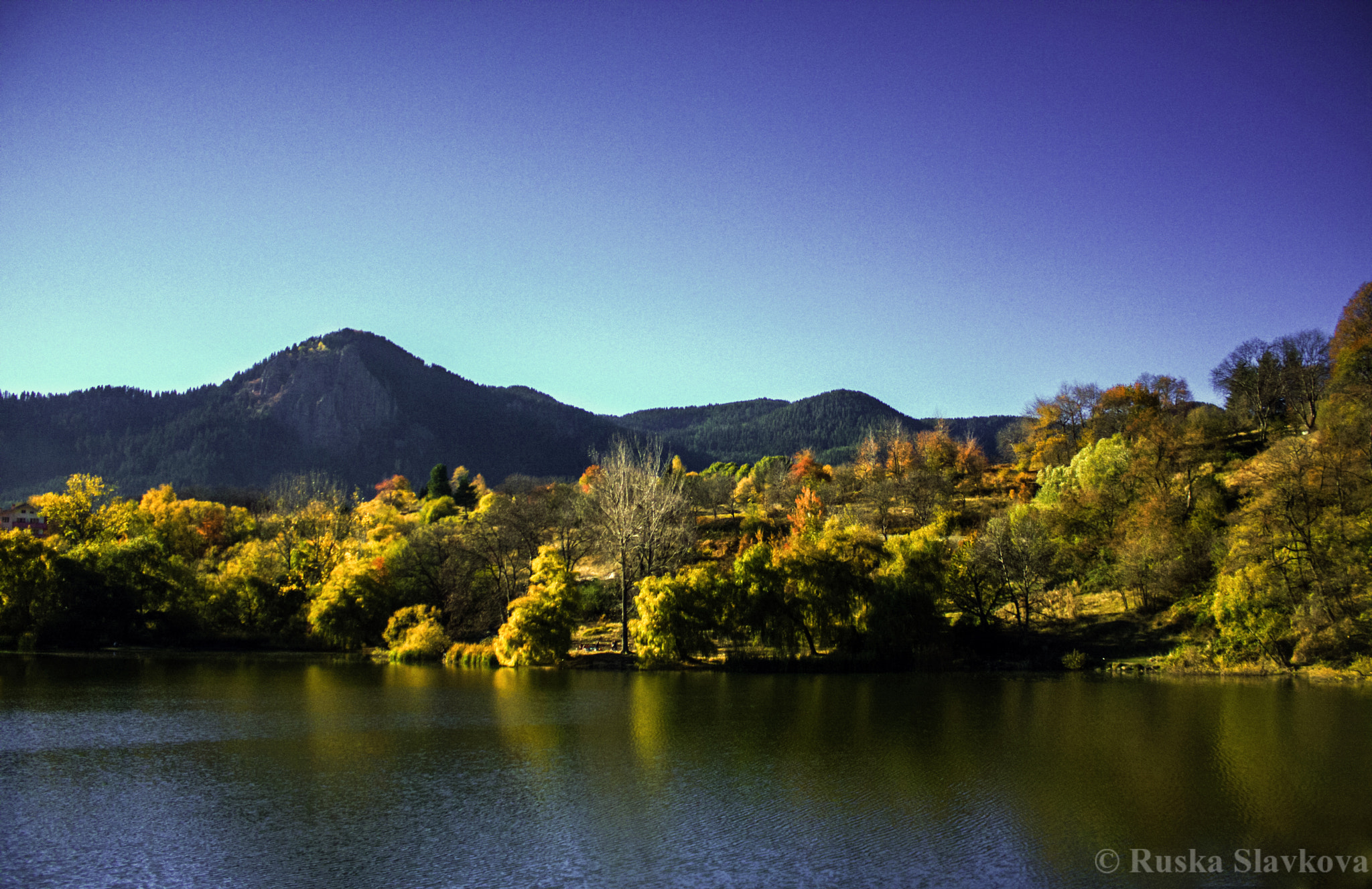 Canon EOS 40D sample photo. Autumn. photography