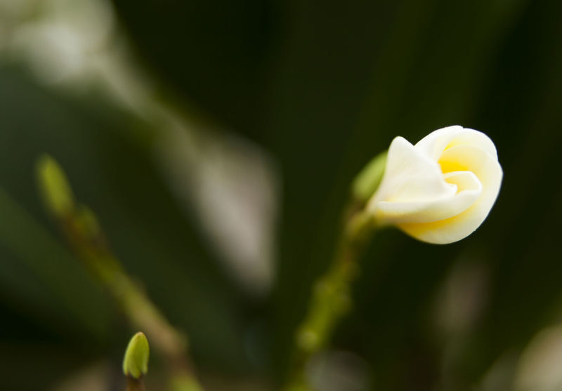EF28-70mm f/2.8L USM sample photo