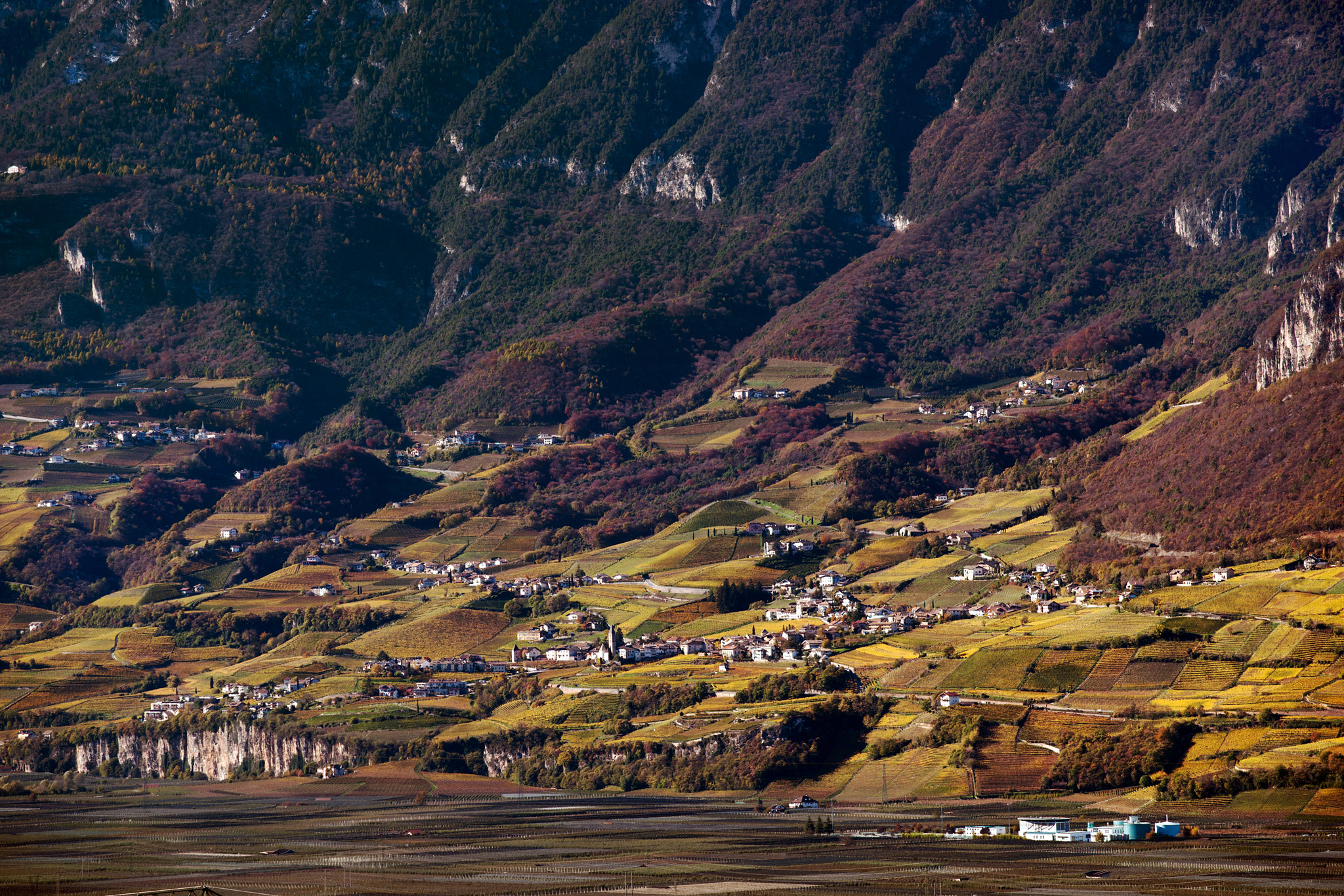 Sony Alpha DSLR-A900 + Minolta/Sony AF 70-200mm F2.8 G sample photo. South tyrolean vineyards photography