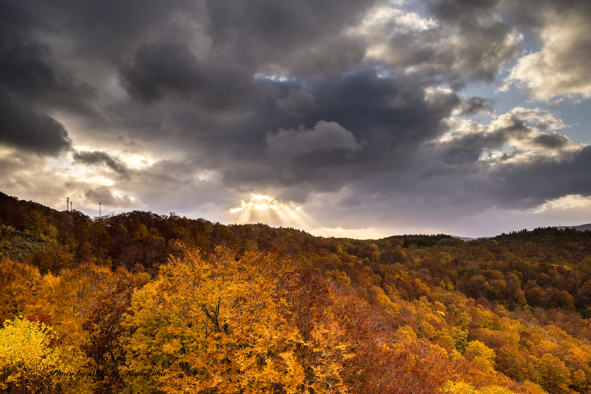 Pentax K-1 sample photo. Autumn leaves at jougakura bridge photography