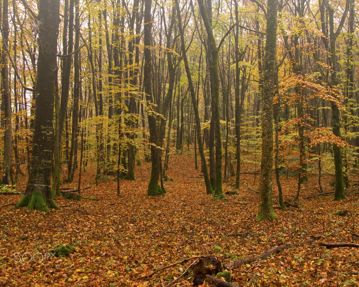 Sony SLT-A77 + 10-20mm F3.5 sample photo. Baume-les-messieurs photography