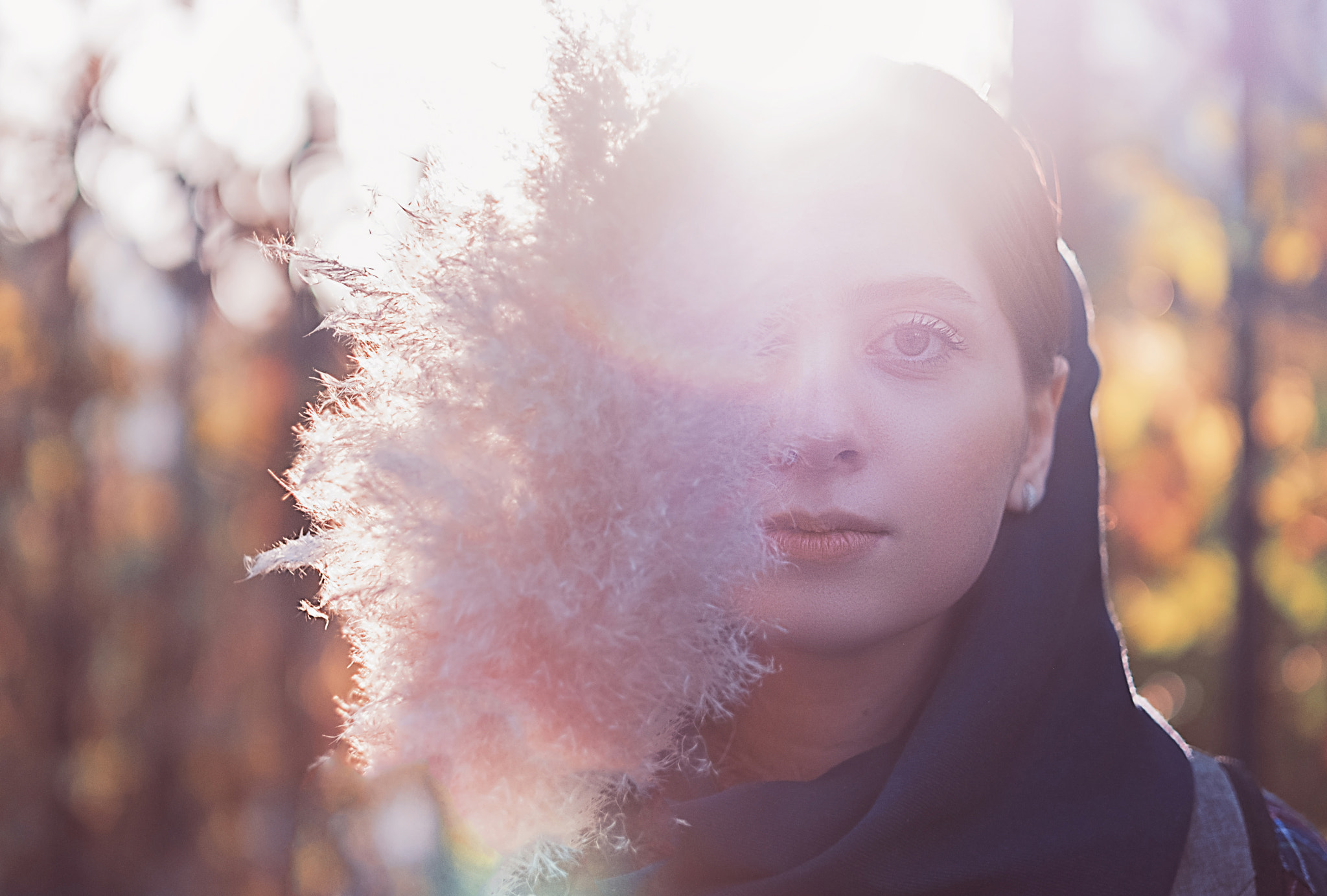 Fujifilm X-T2 + Fujifilm XF 56mm F1.2 R APD sample photo. Sarva ! photography