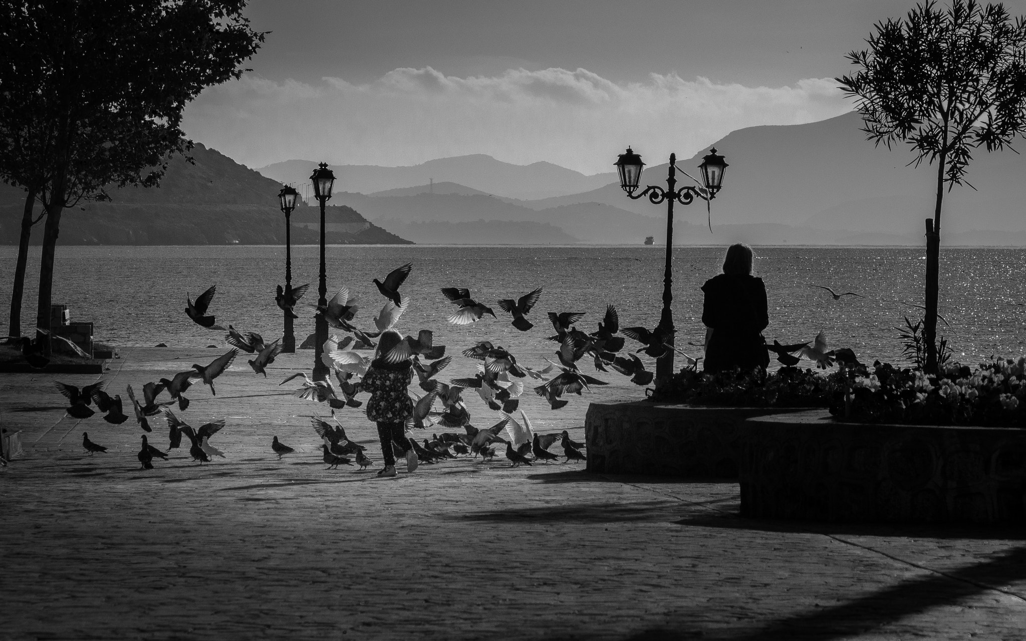 Olympus PEN E-PL6 sample photo. Making new friends photography