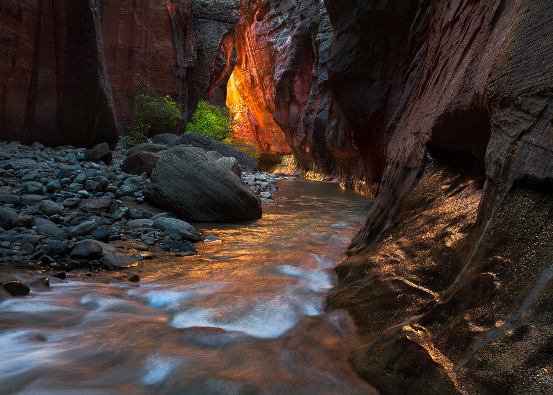 Sony a7R II + Canon EF 17-40mm F4L USM sample photo. Afternoon glow photography