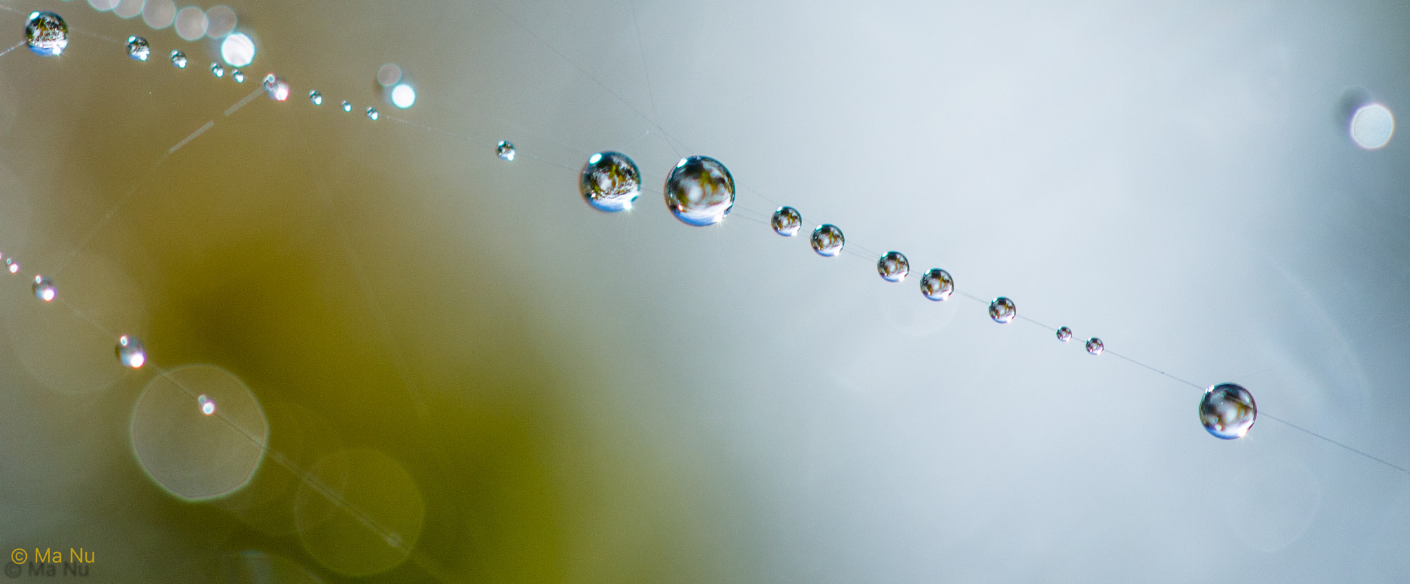 Canon EF-S 60mm F2.8 Macro USM sample photo. Little world photography