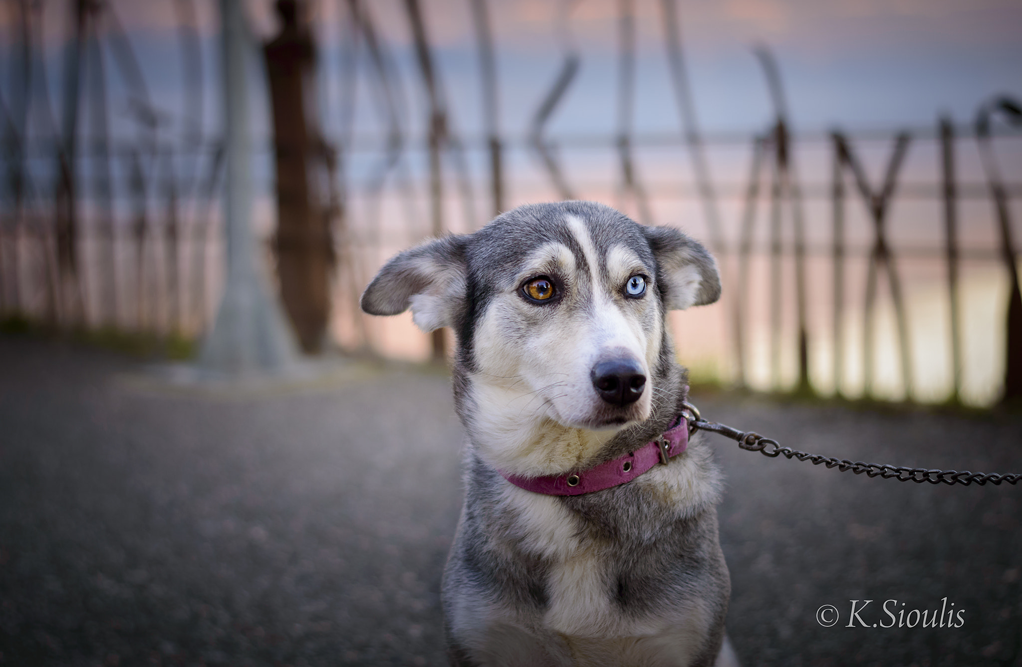 Nikon D3200 sample photo