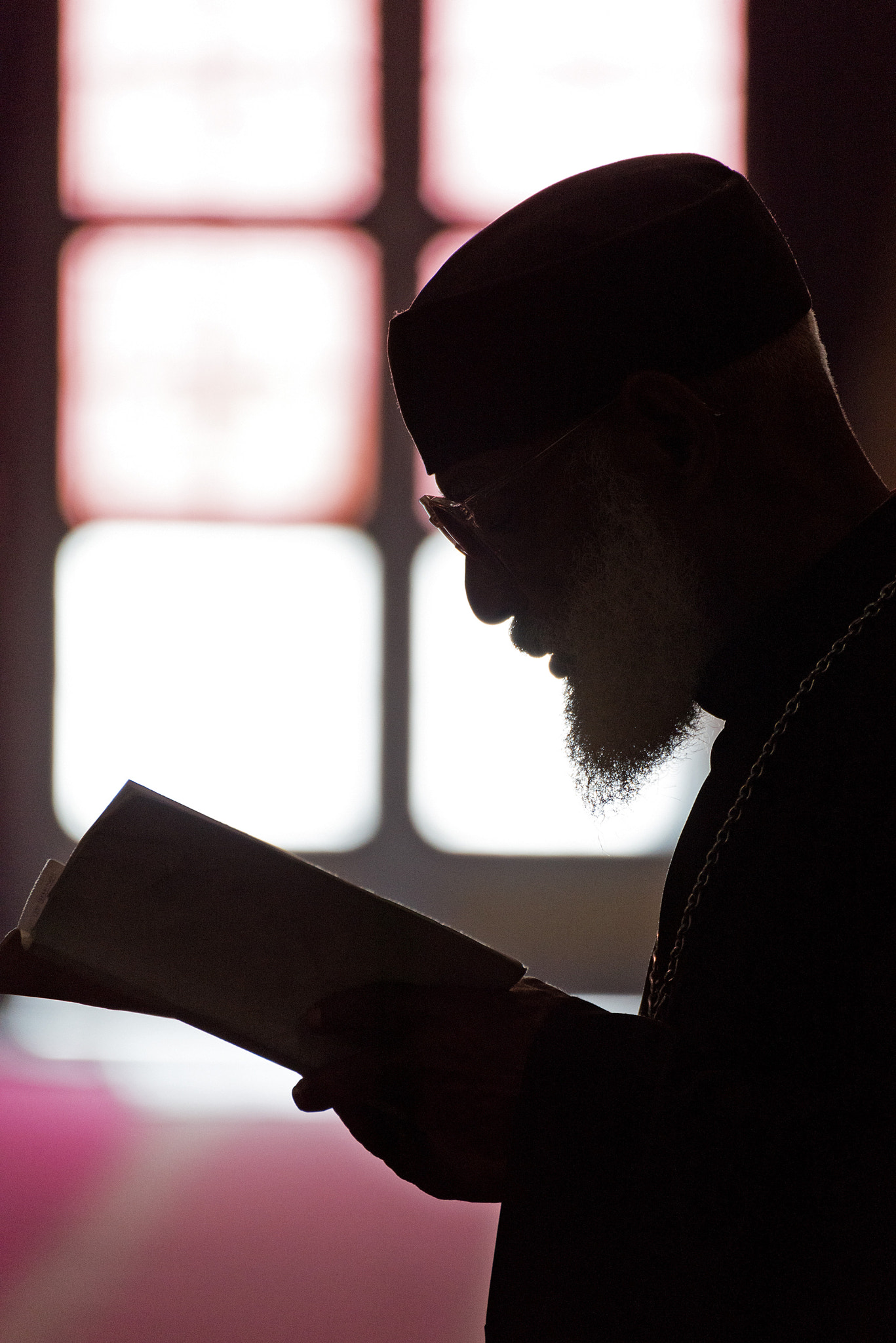 Nikon D800 sample photo. Reading photography