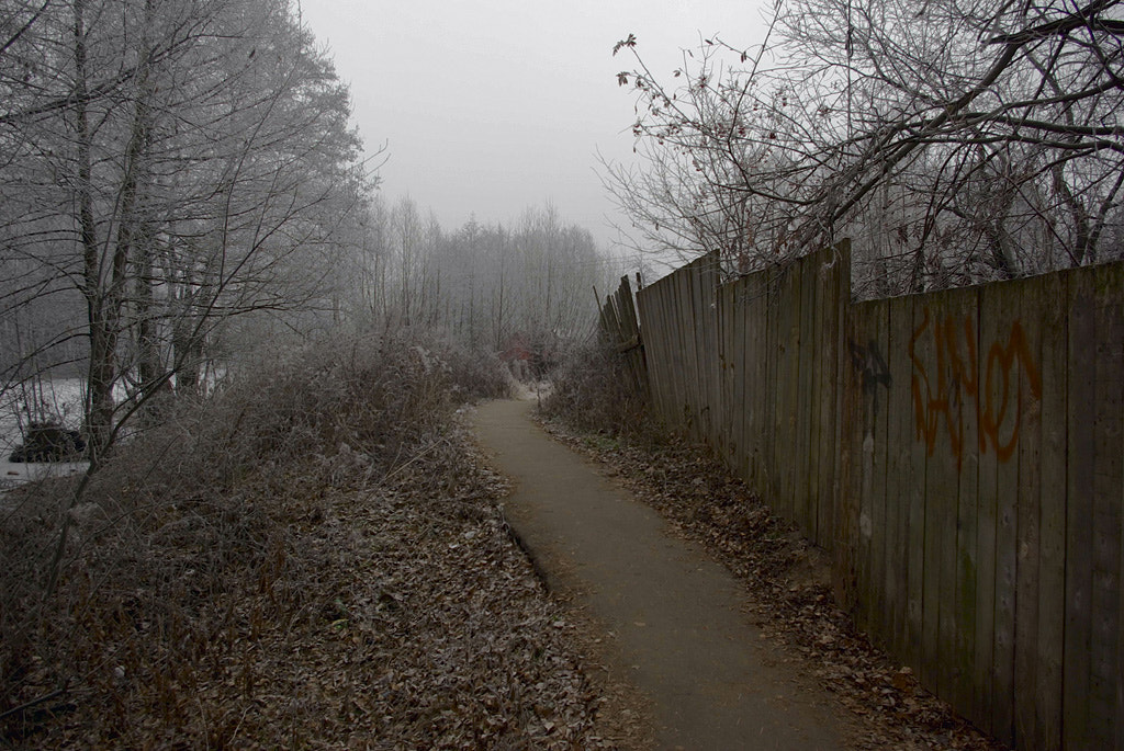 Pentax smc DA 18-55mm F3.5-5.6 ED AL II (IF) sample photo. Novemder frost. photography