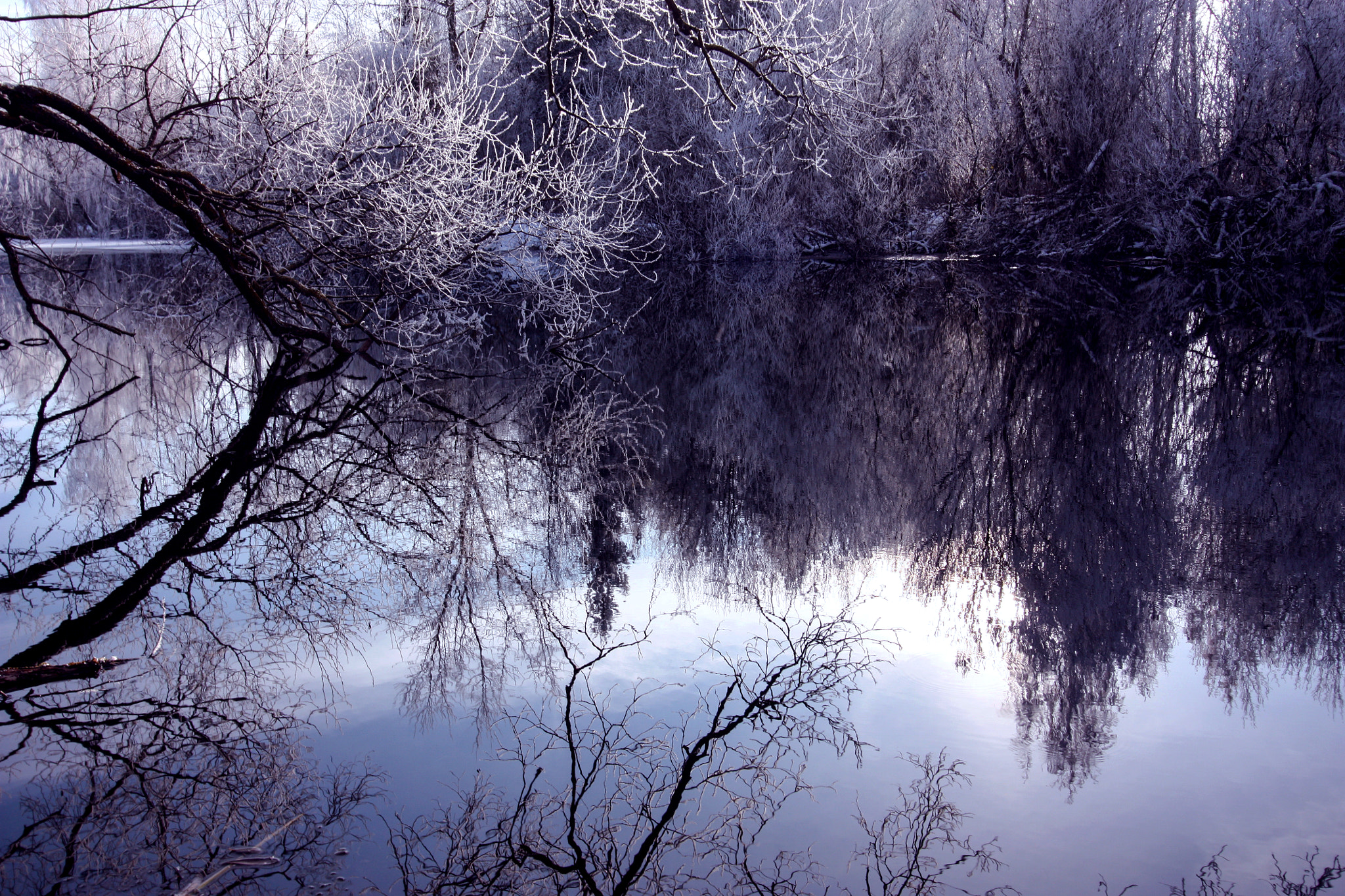 Canon EF-S 10-22mm F3.5-4.5 USM sample photo. Trees in the water mirror photography