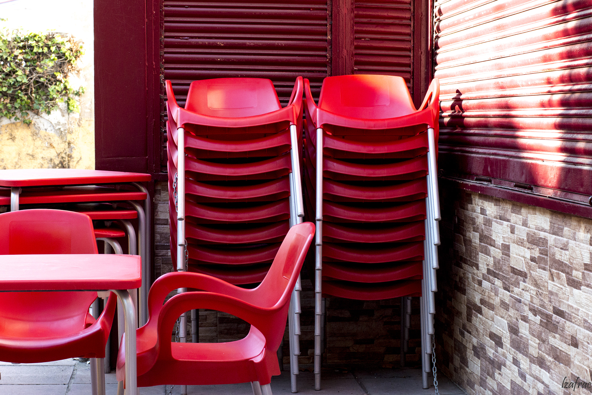 ZEISS Planar T* 50mm F1.4 sample photo. Rojo photography