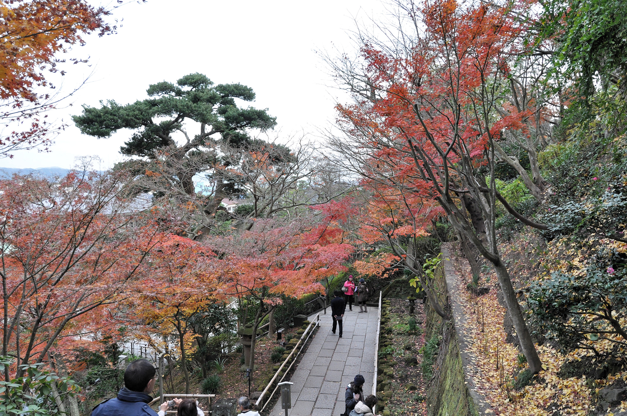 Sigma 18-250mm F3.5-6.3 DC OS HSM sample photo. Autumn photography