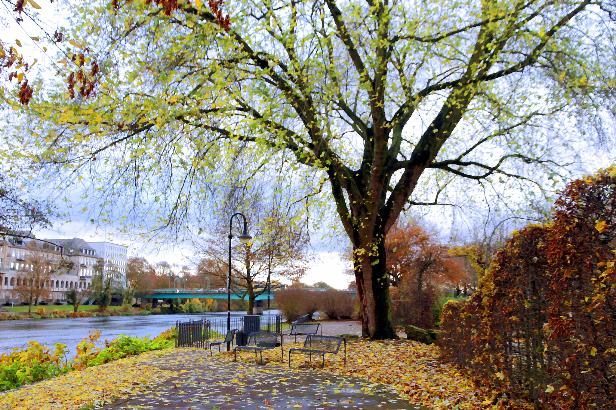 Canon EOS 1100D (EOS Rebel T3 / EOS Kiss X50) sample photo. Herbst photography