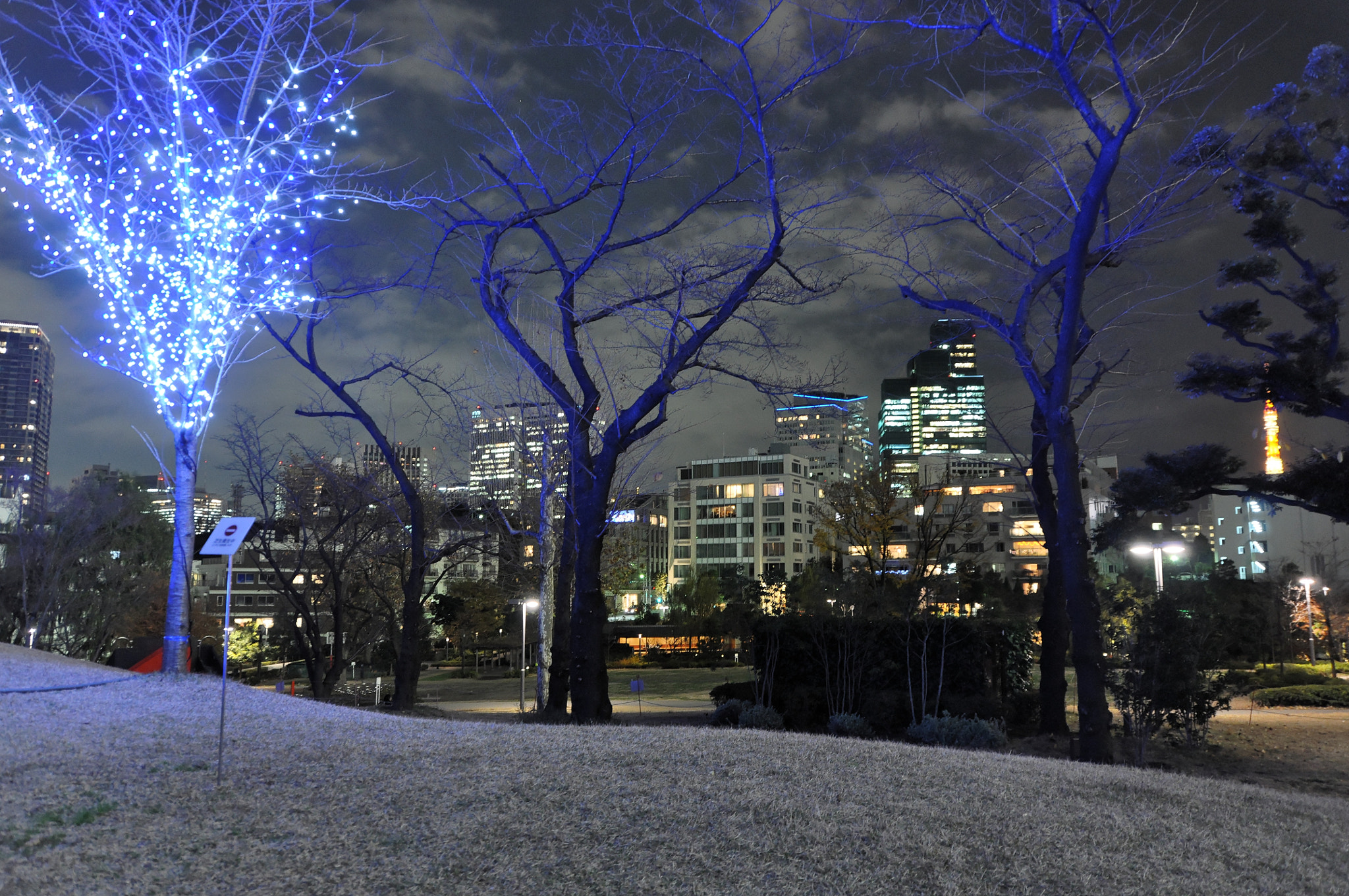 Nikon D90 sample photo. Tokyo by night photography