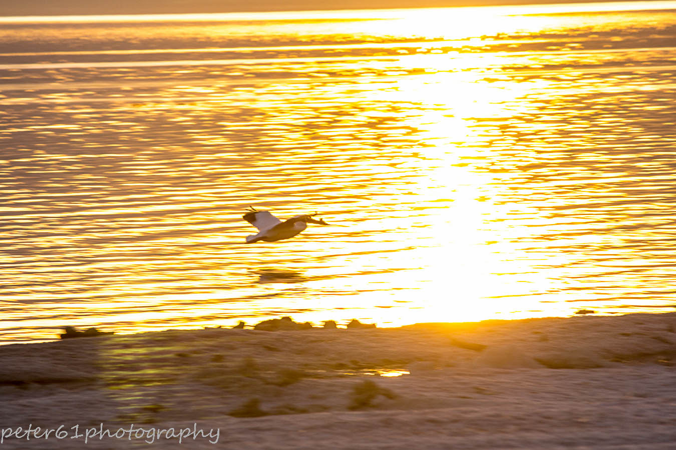 Canon EF-S 55-250mm F4-5.6 IS sample photo. Salton sea photography