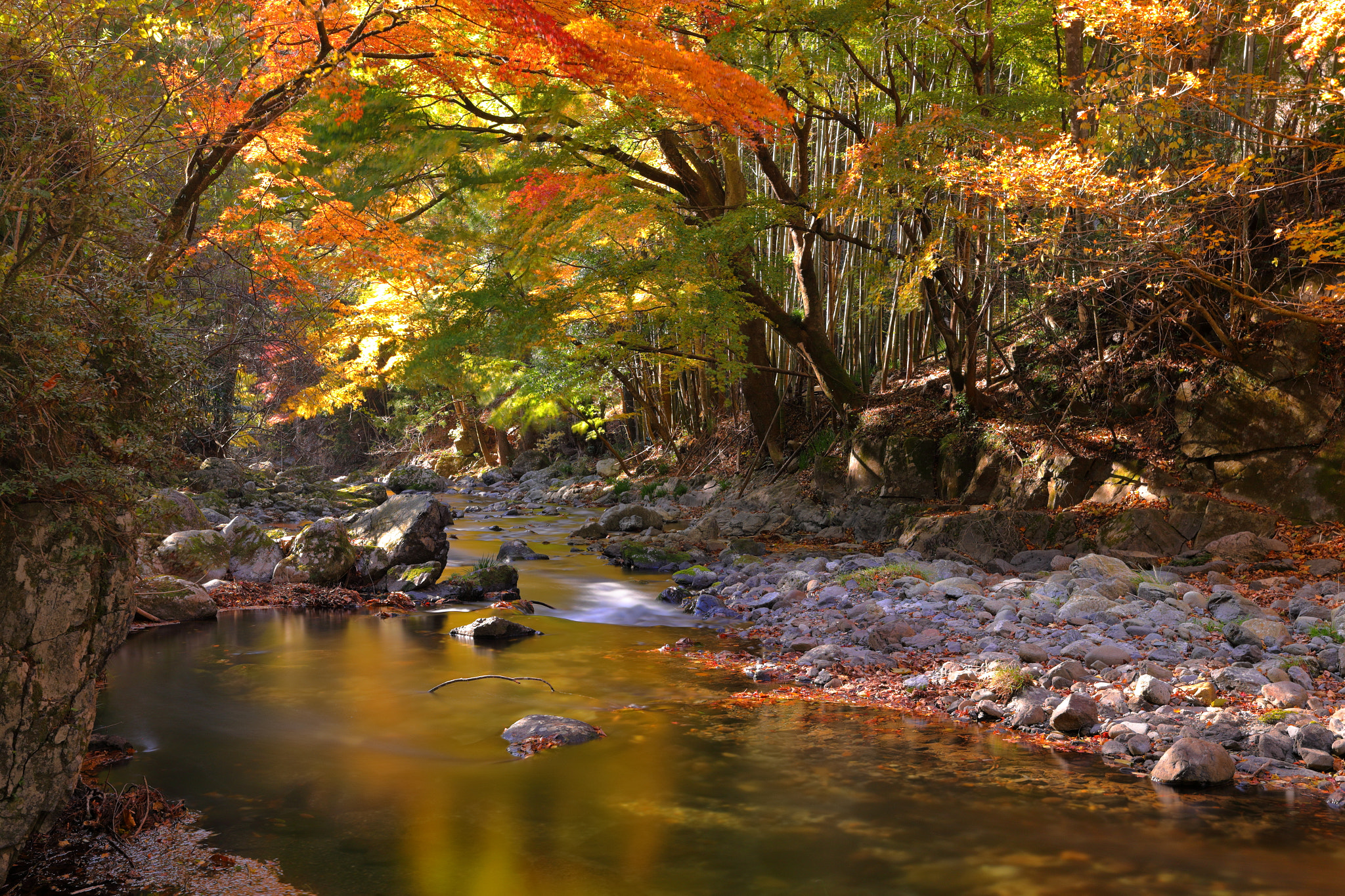 Canon EOS 5D Mark IV + Canon EF 16-35mm F2.8L III USM sample photo. Colorful mountain stream photography