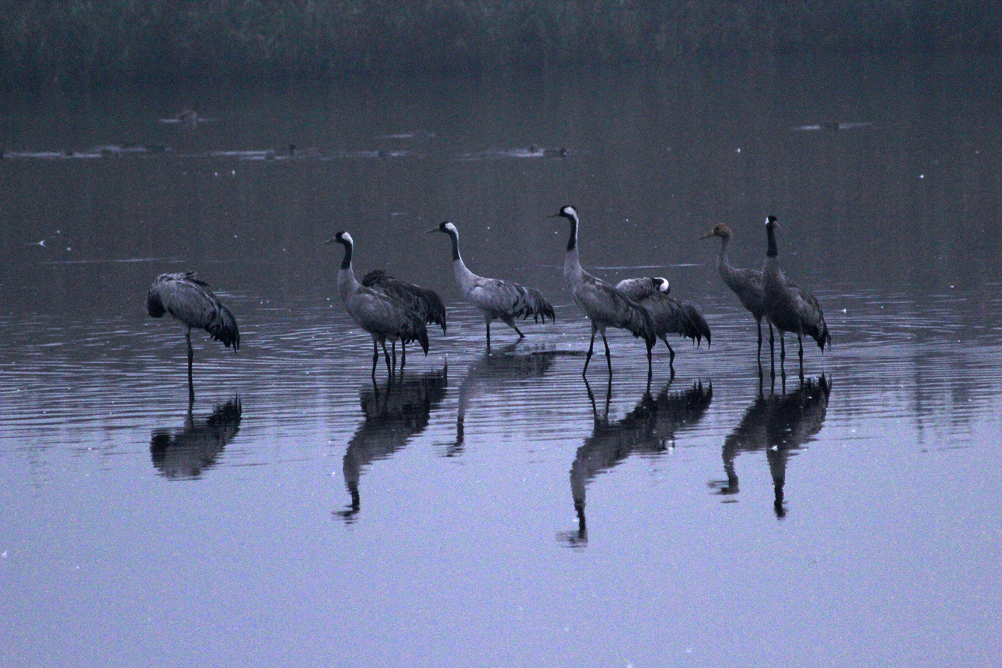 Canon EF 70-300mm F4-5.6 IS USM sample photo. Xbefore sunrise photography