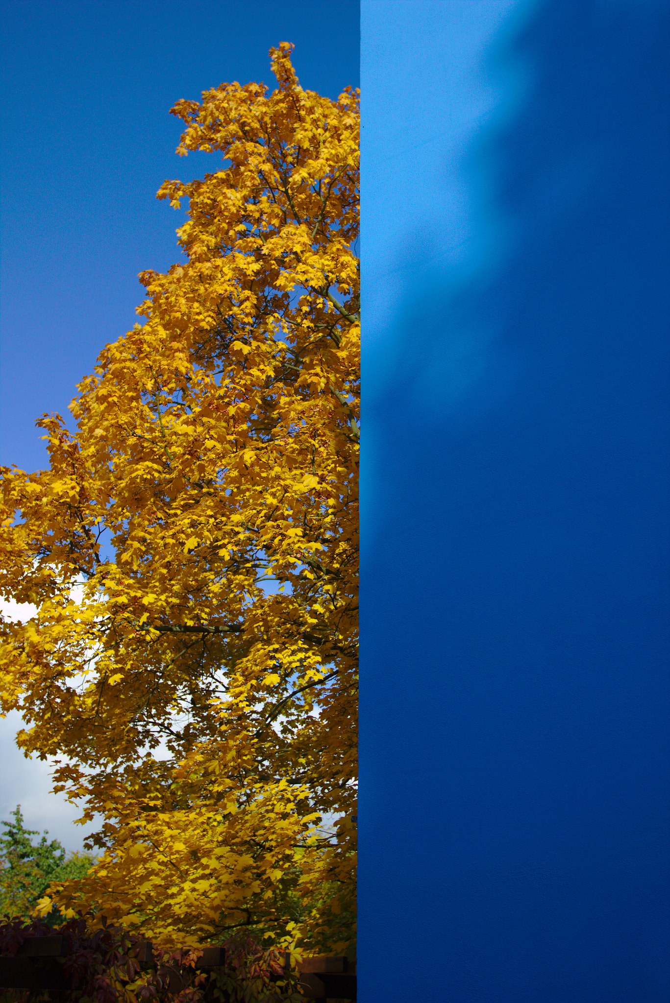 Canon EOS 100D (EOS Rebel SL1 / EOS Kiss X7) sample photo. Sky vs. house photography