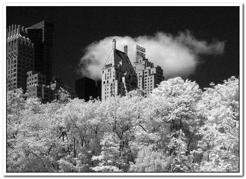 Fujifilm FinePix S2 Pro sample photo. New york  photography
