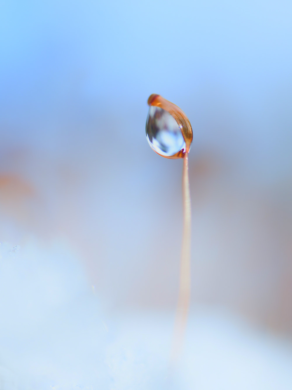 Nikon D300S sample photo. Blue photography