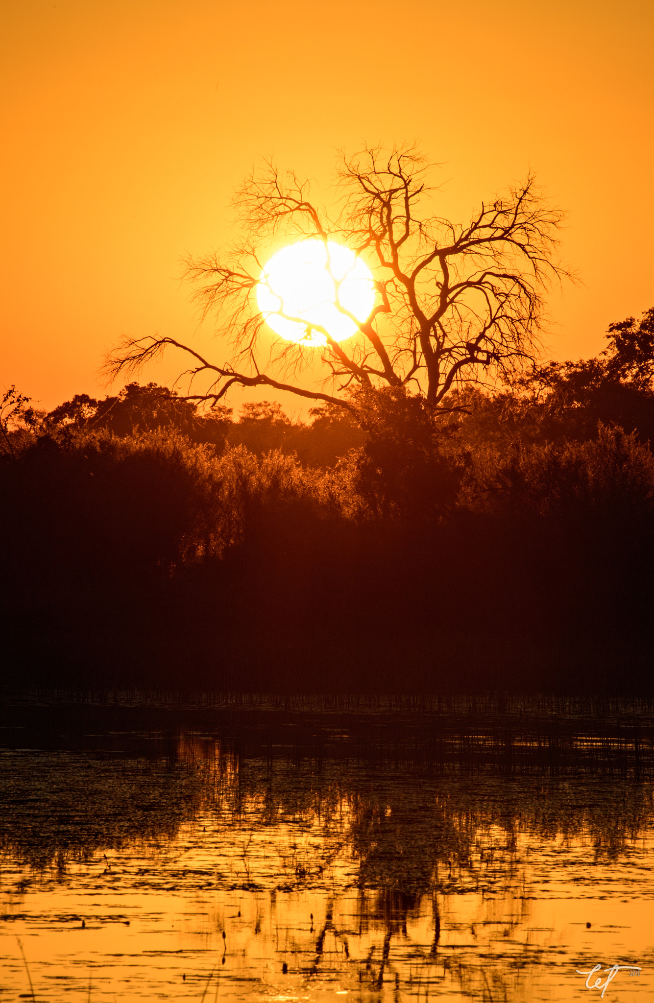 Nikon D5 sample photo. Sunrise at vumbura photography