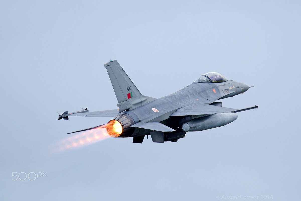 Sigma 150-600mm F5-6.3 DG OS HSM | S sample photo. Paf f16 photography