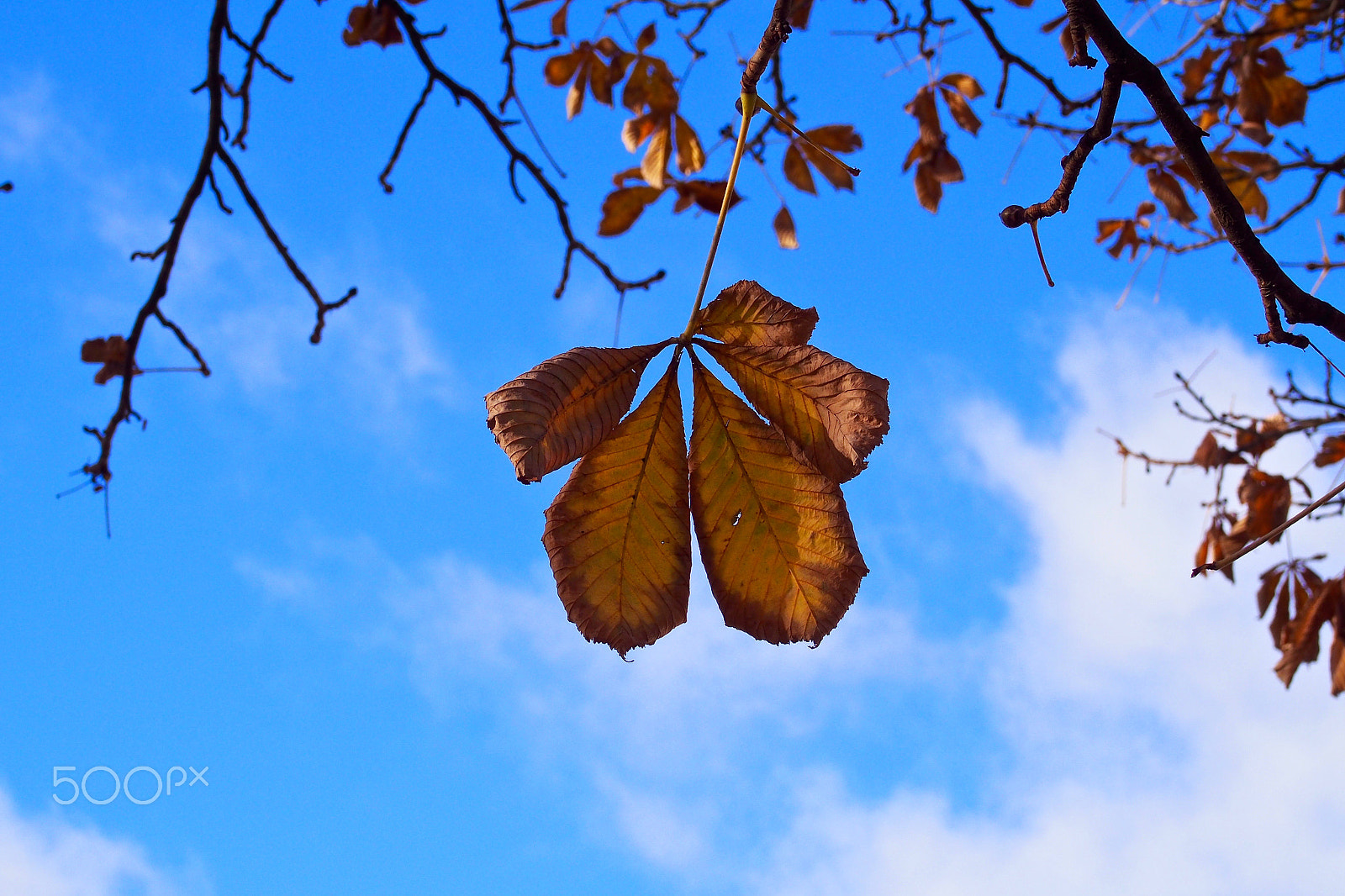 Olympus PEN E-PL6 sample photo. Hanging on photography