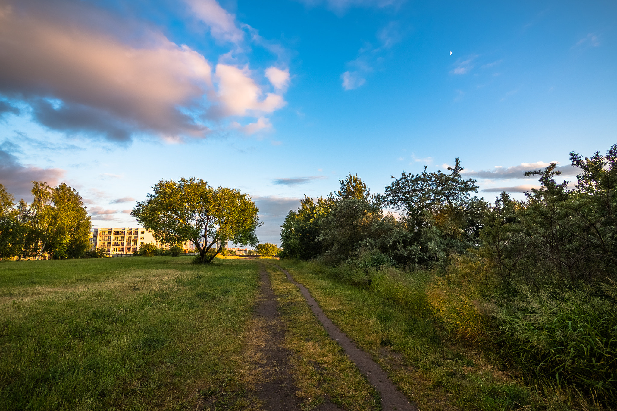 Panasonic Lumix G Vario 7-14mm F4 ASPH sample photo. City park photography